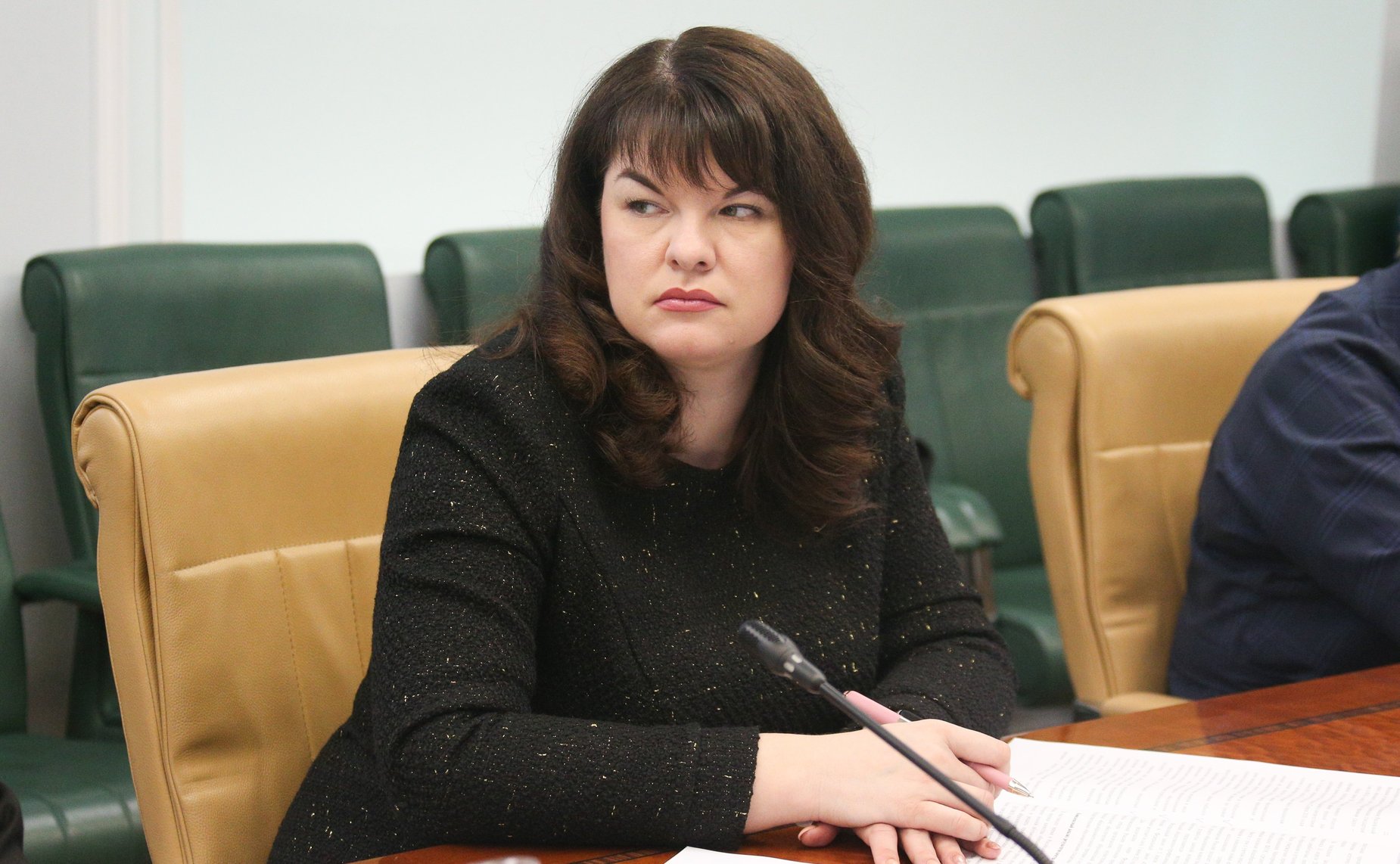 «Круглый стол» Комитета СФ по науке образованию и культуре