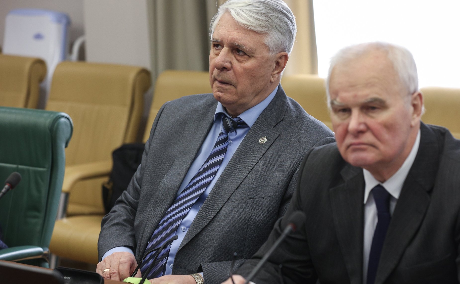 Круглый стол Комитета СФ по международным делам