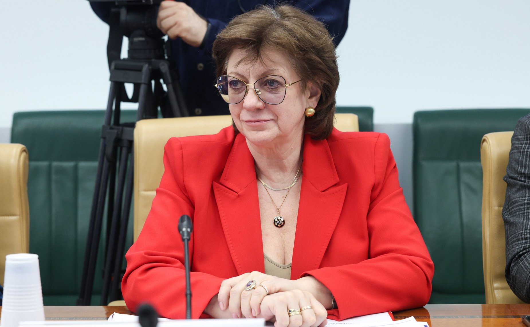 Заседание Экспертного совета по социальному развитию при Комитете Совета Федерации по социальной политике