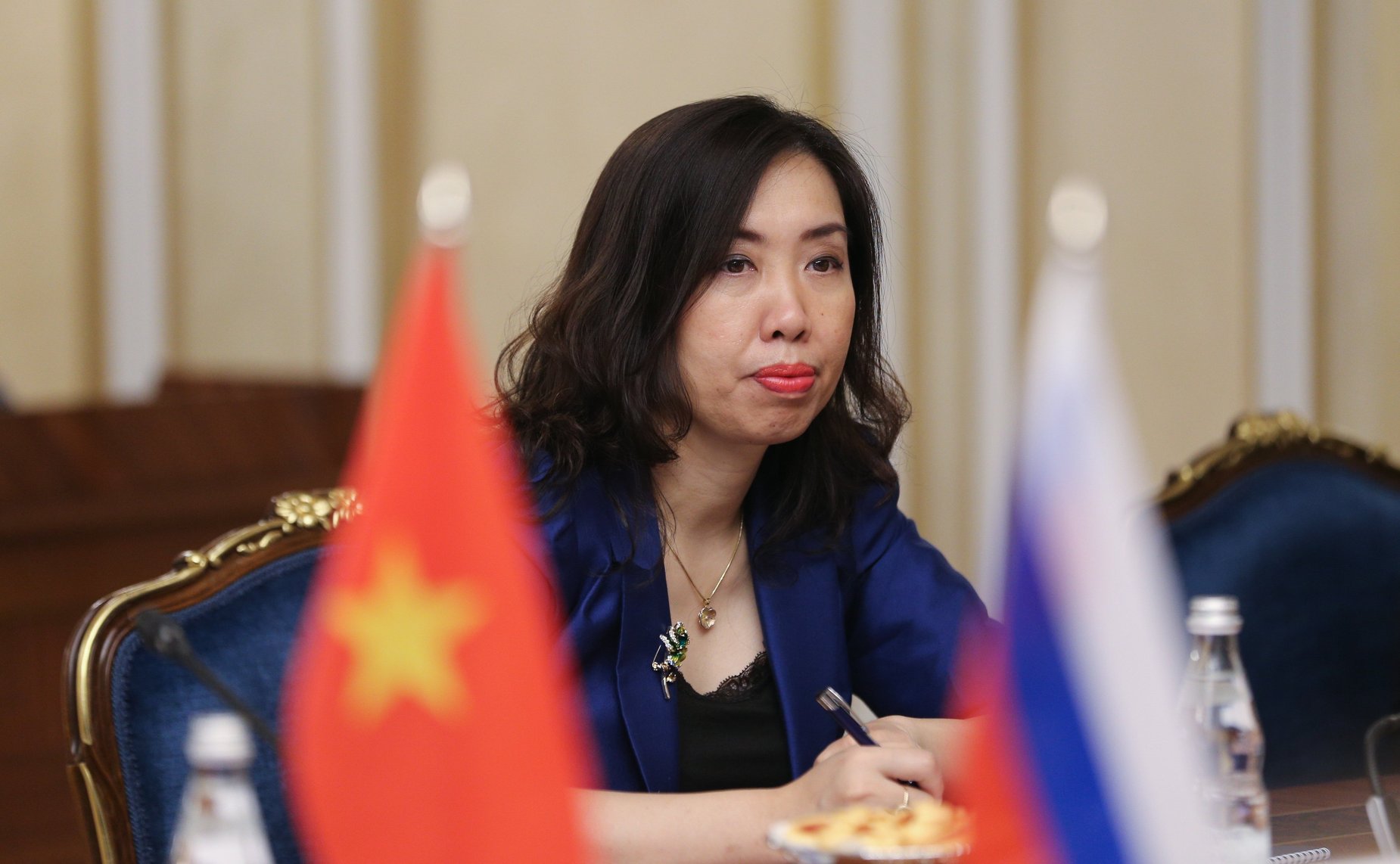 Встреча заместителя Председателя Совета Федерации Константина Косачева с Министром иностранных дел Социалистической Республики Вьетнам Буй Тхань Шоном