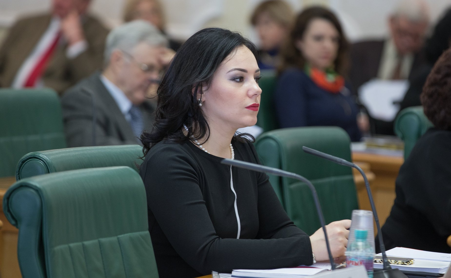 На заседании Совета по делам инвалидов при СФ