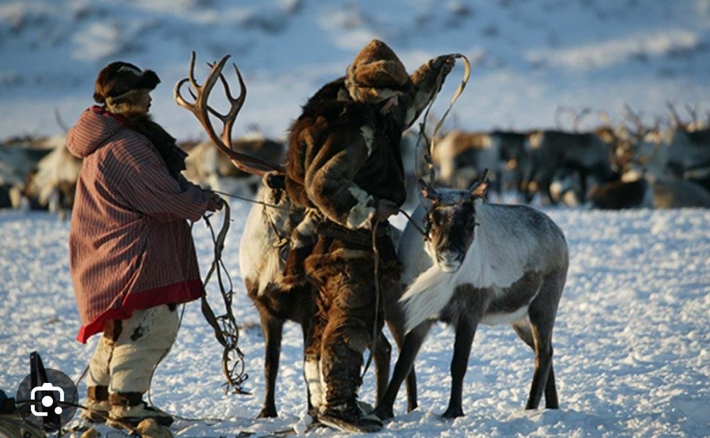 По инициативе сенаторов в Чукотском автономном округе расширены меры социальной поддержки