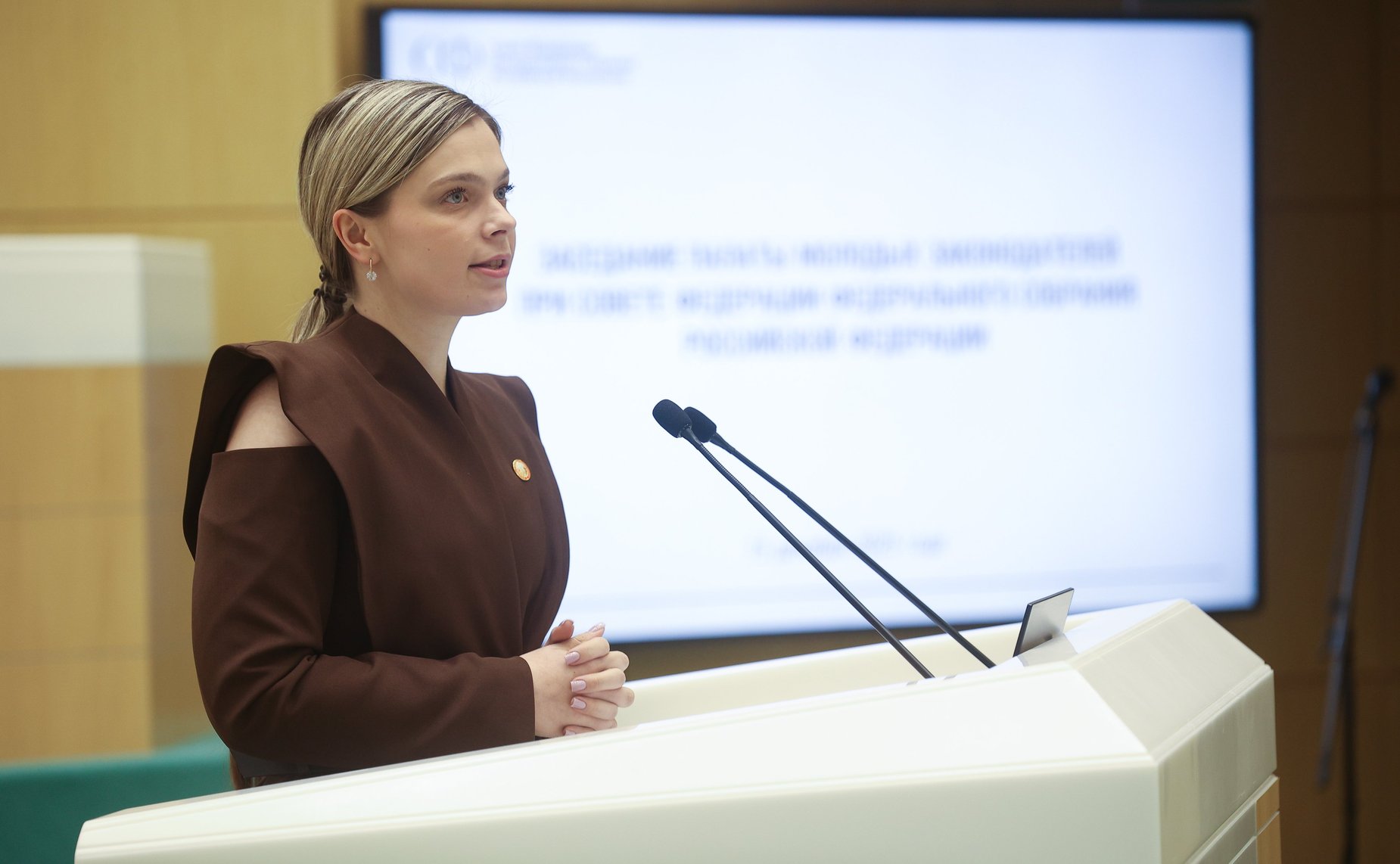 Заседание Палаты молодых законодателей при Совете Федерации