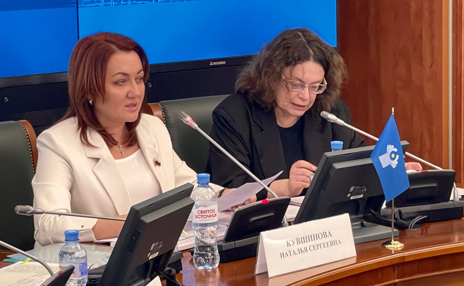 Заседание рабочей группы МПА СНГ по разработке проекта Словаря терминов и понятий, используемых при подготовке законодательных актов в сфере государственного строительства и местного самоуправления