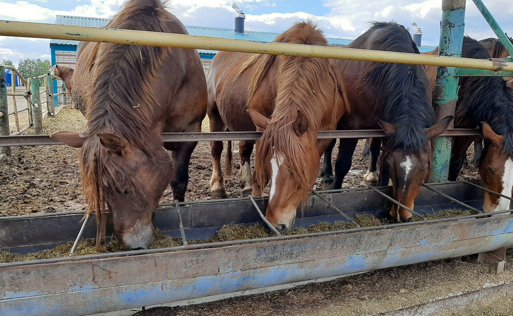 Сергей Мартынов ознакомился с работой одного из лидеров АПК Марий Эл