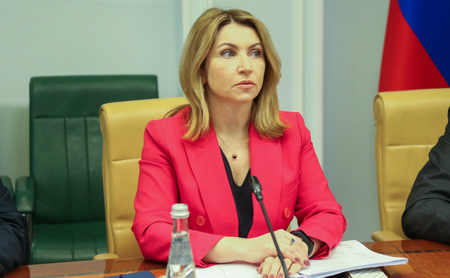 Совместное расширенное заседание групп по сотрудничеству СФ и Народного Совета Сирийской Арабской Республики