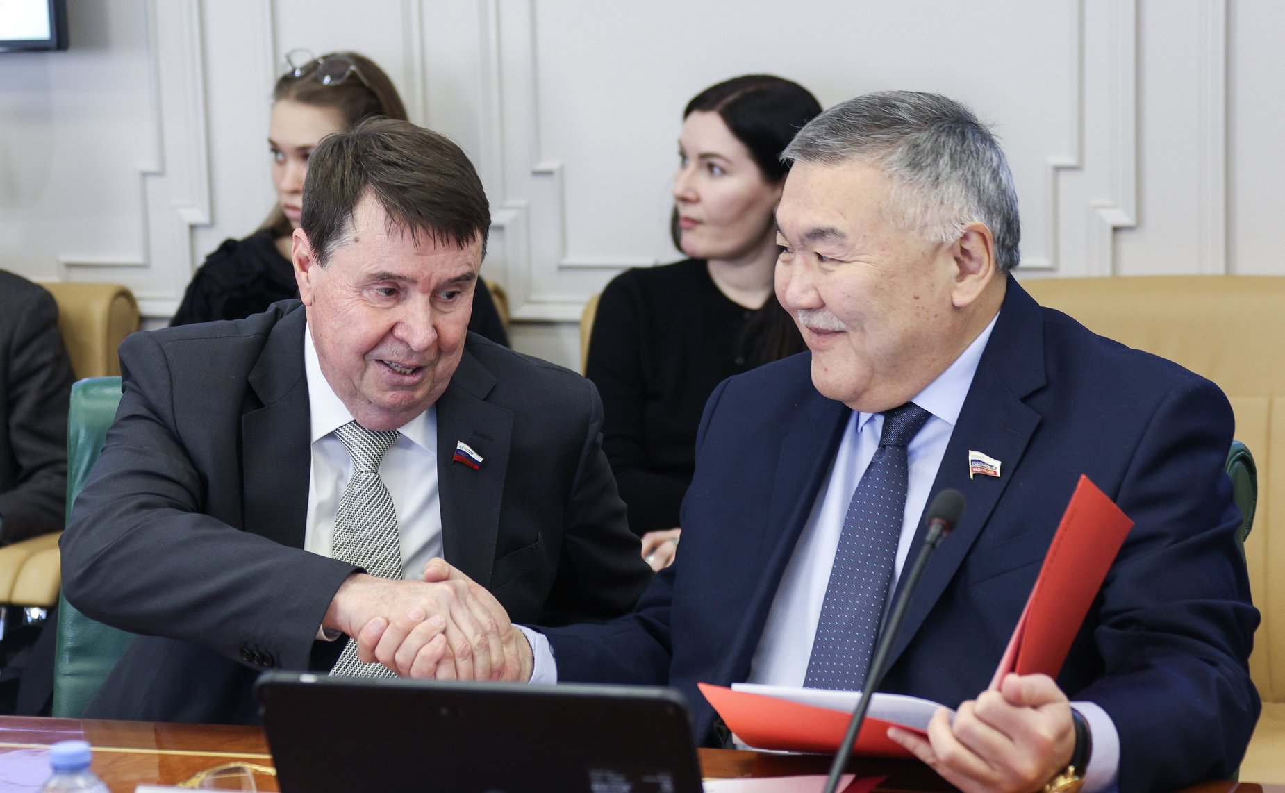 Заседание Комитета СФ по международным делам