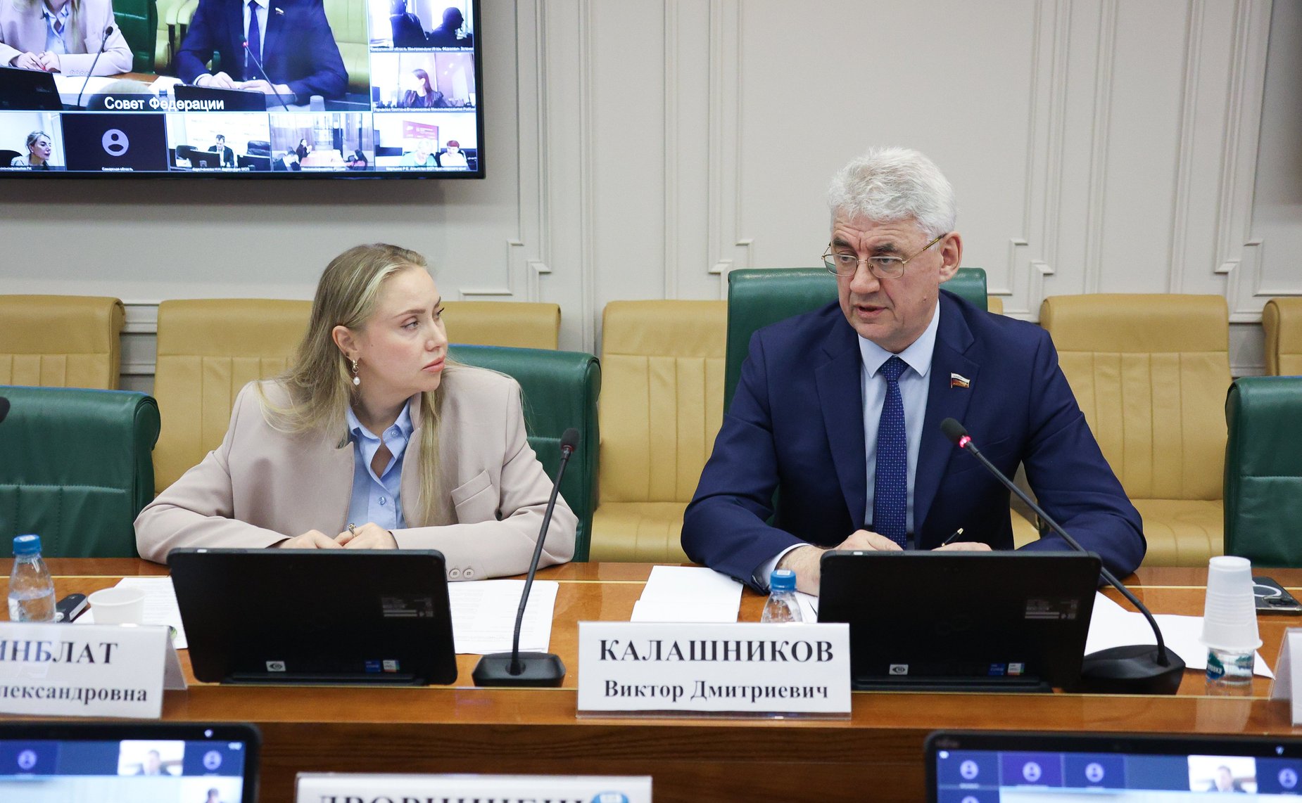 Круглый стол Комитета Совета Федерации по экономической политике на тему «Актуальные вопросы реализации национального проекта «Эффективная и конкурентная экономика»»