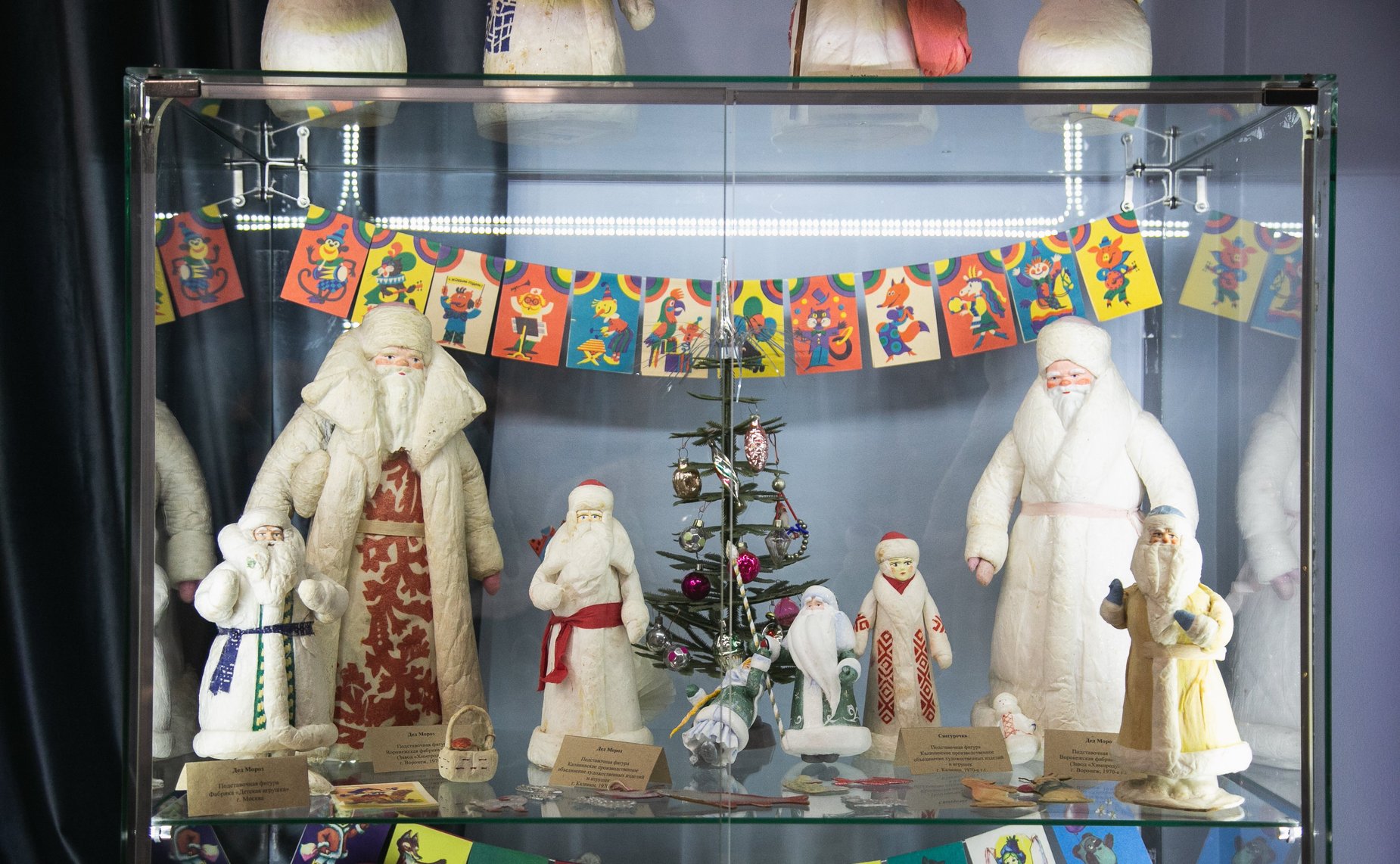 Участие сенаторов Российской Федерации в Семейном Форуме Дедов Морозов