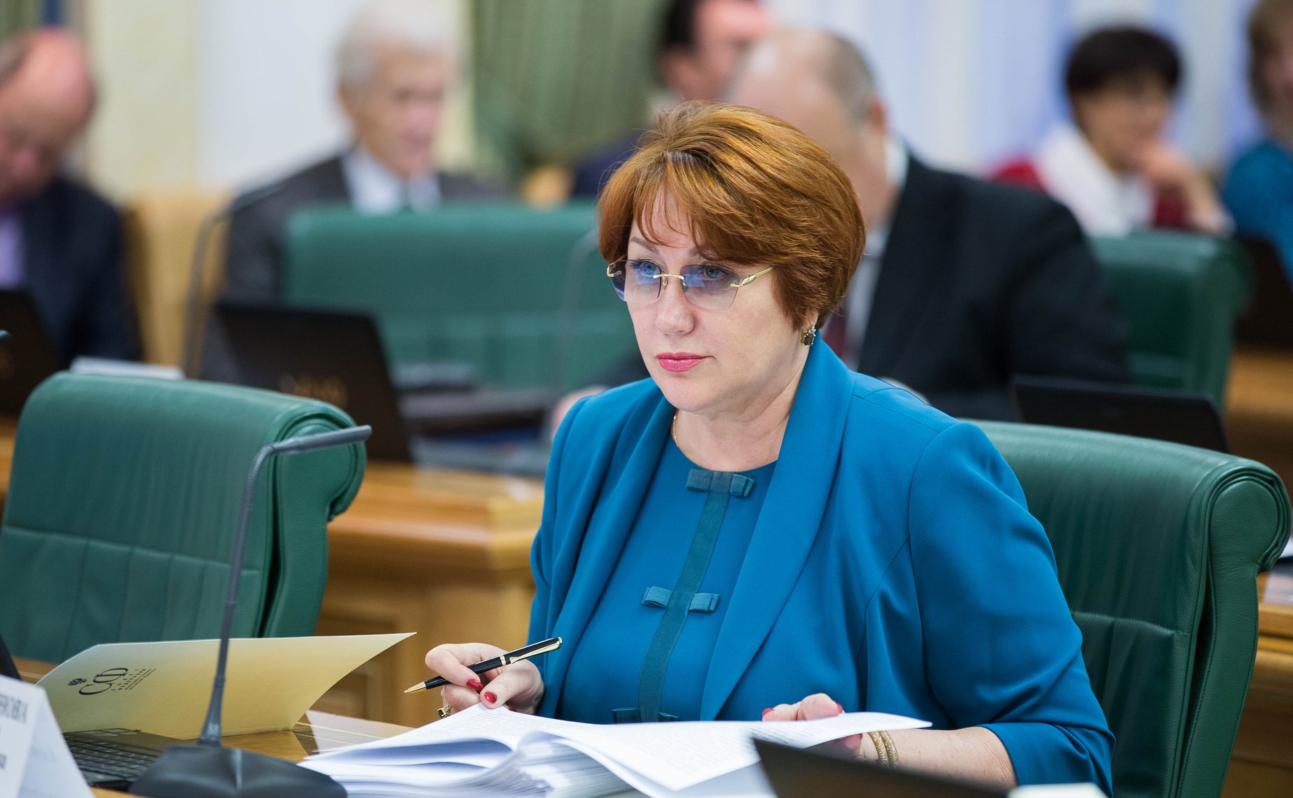 Е. Перминова Заседание Комитета Совета Федерации по бюджету и финансовым рынкам