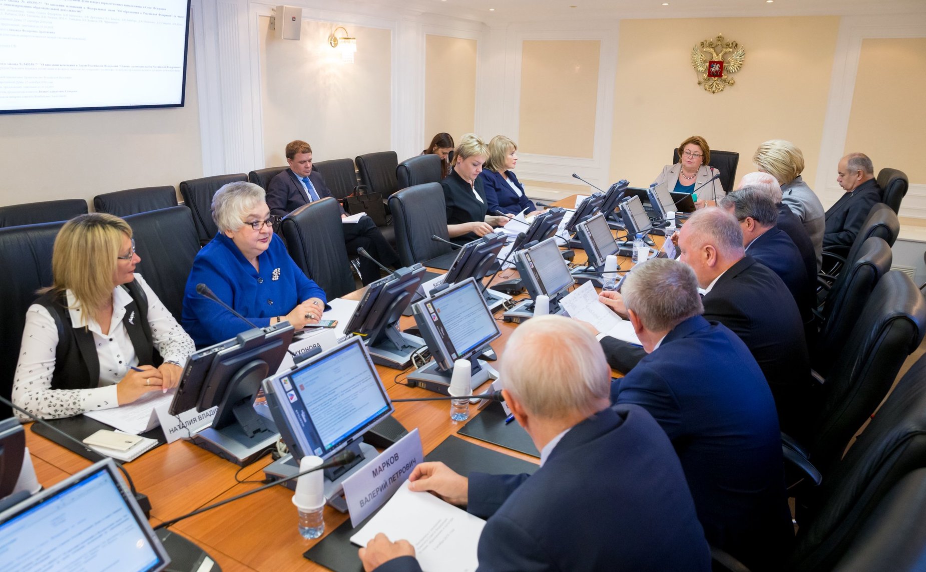 Заседание Комитета СФ по науке, образованию и культуре