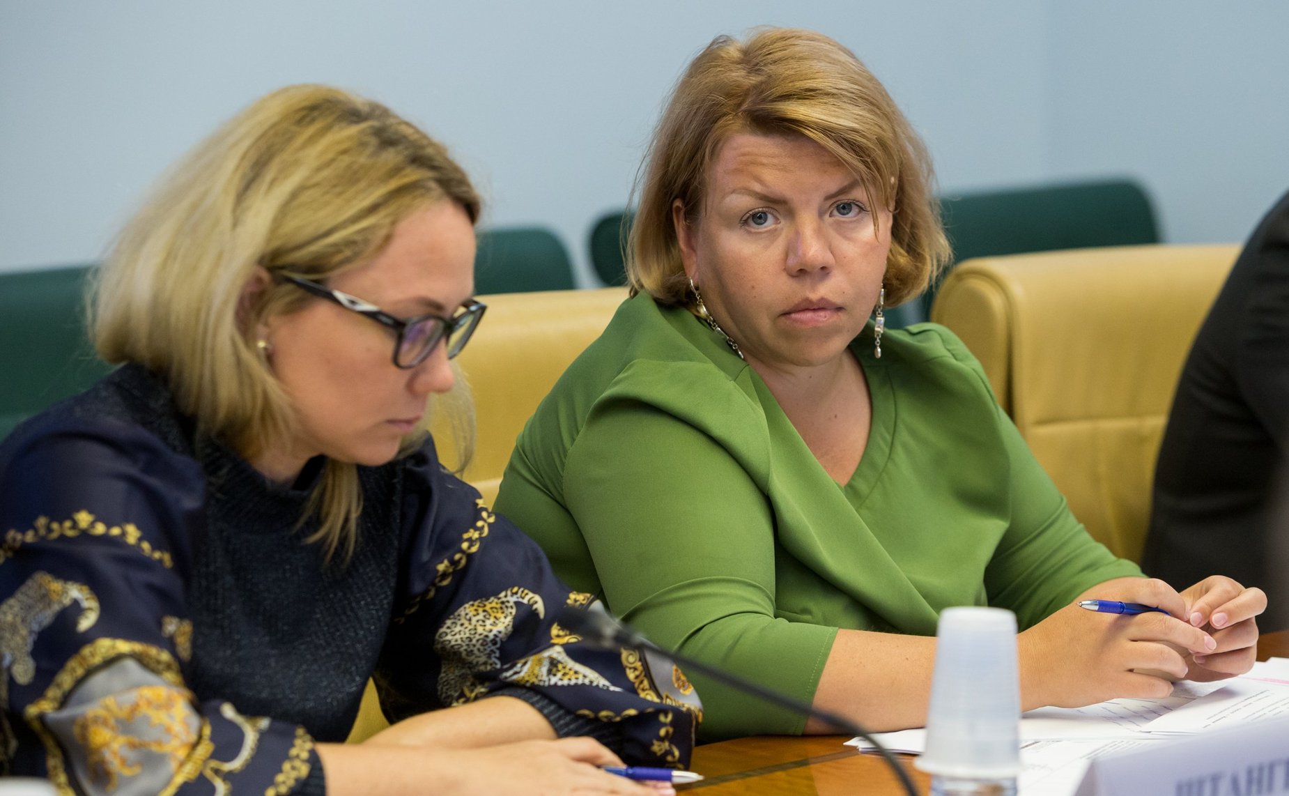 Совещание Комитета СФ по социальной политике