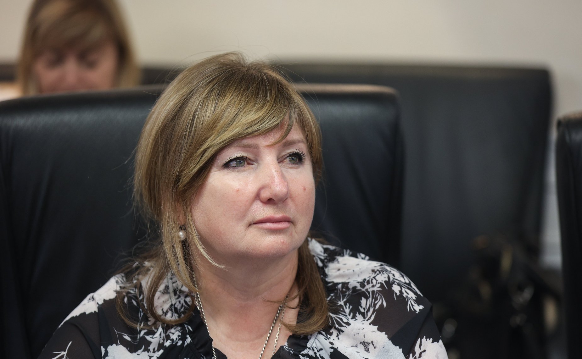 Встреча сенаторов Российской Федерации с участниками Программы «Руководители представительных органов местного самоуправления Донбасса и Новороссии»