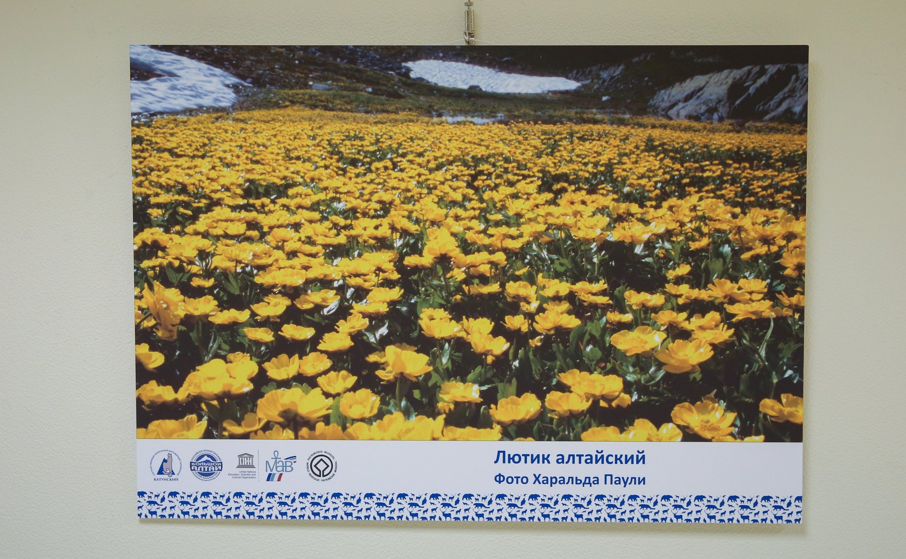 В Совете Федерации открылась фотовыставка «Катунский заповедник. Сохранить красоту, созданную природой»