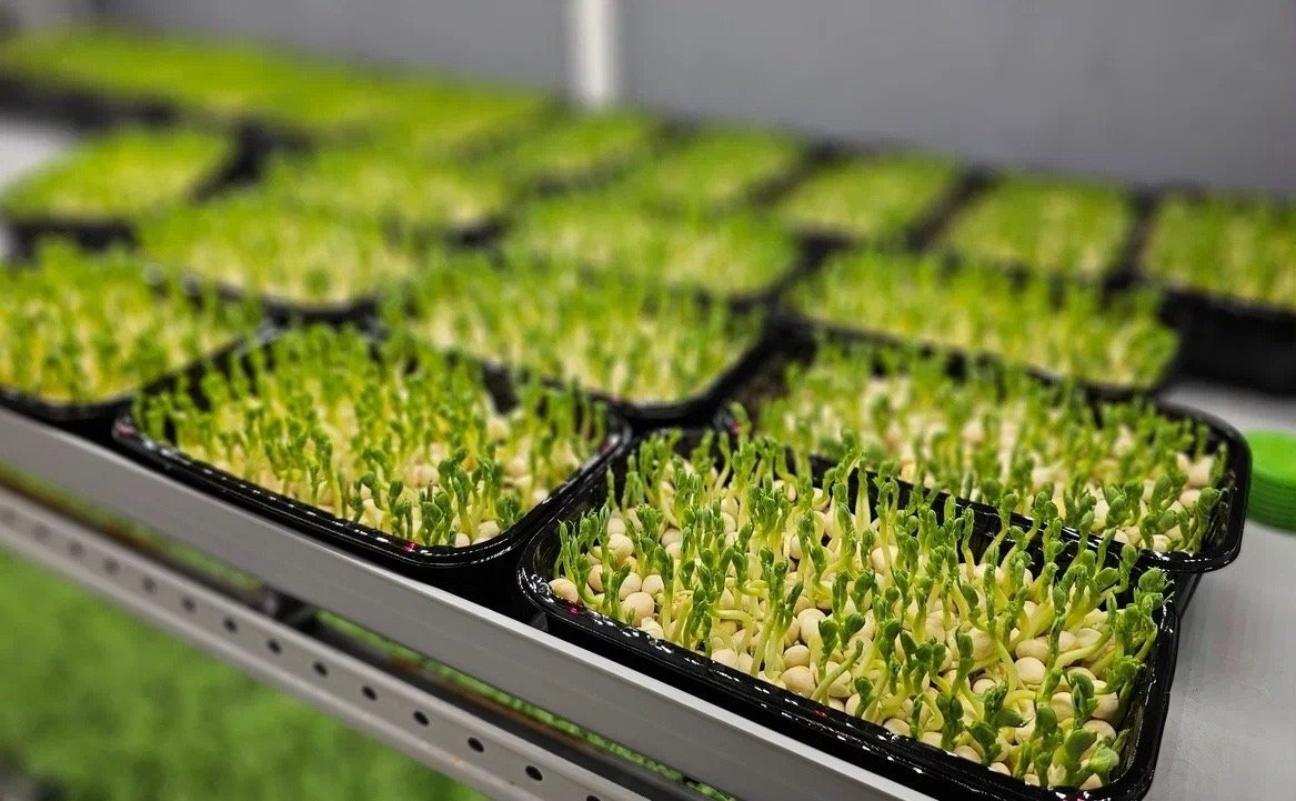 Лариса Круглова совместно с главой Кольского округа провела встречу с представителями малого и среднего бизнеса