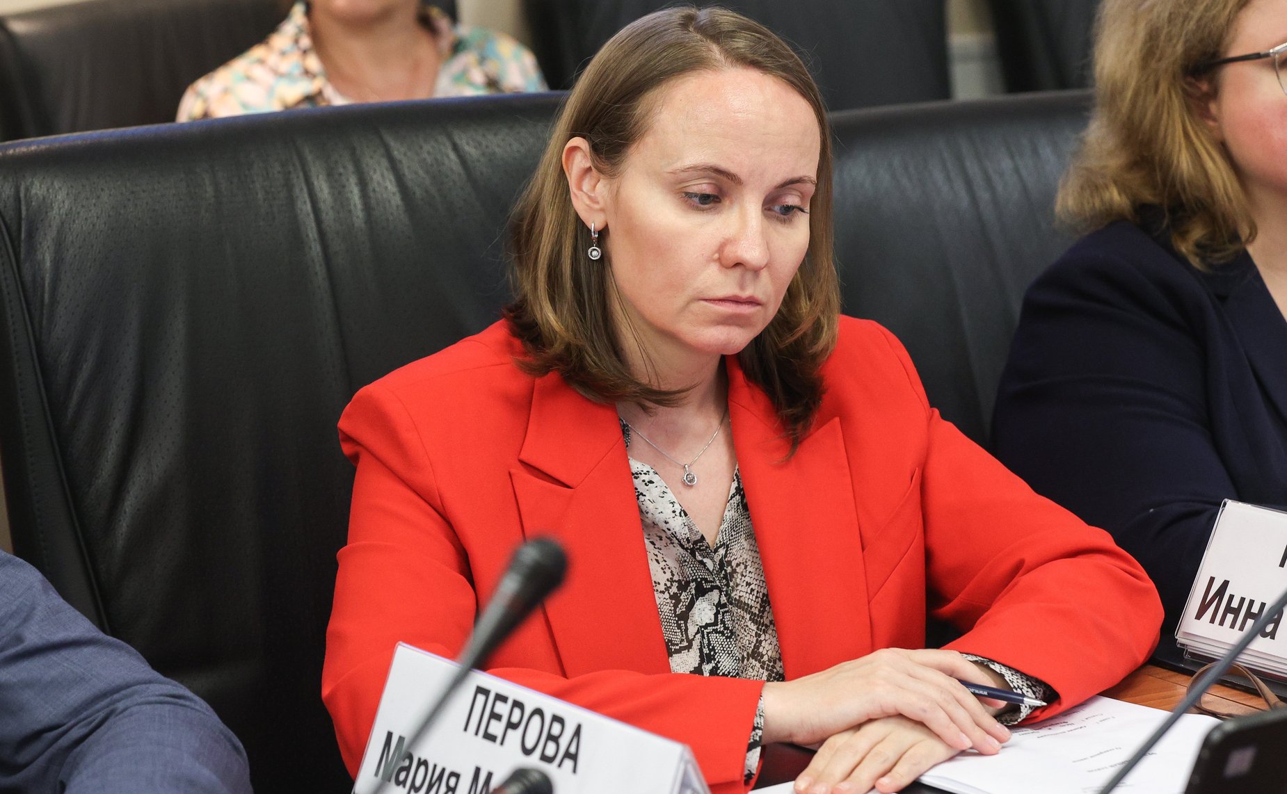 Заседание Комитета Совета Федерации по федеративному устройству, региональной политике, местному самоуправлению и делам Севера