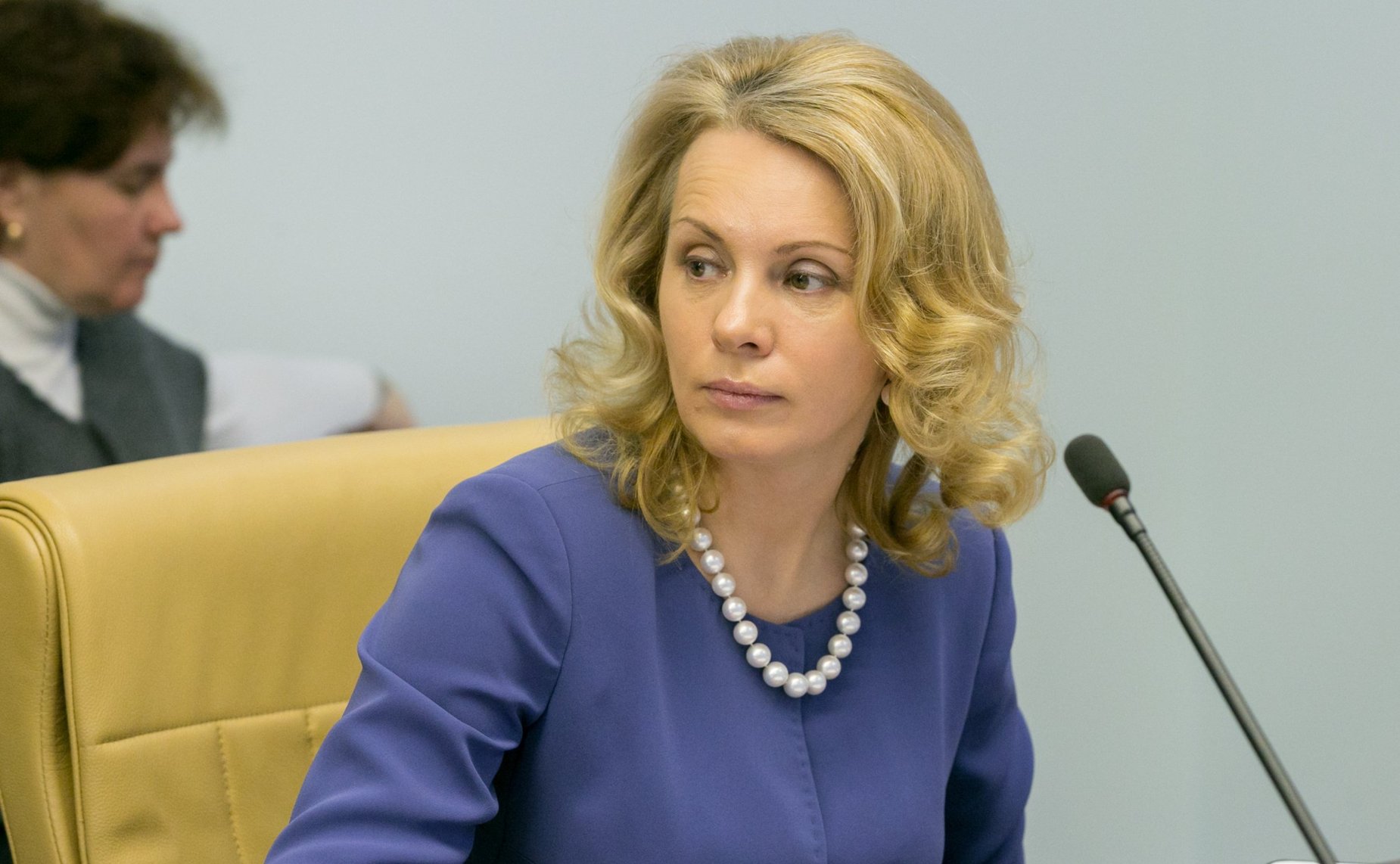 Н. Третьяк на заседании Комитета СФ по науке образованию и культуре