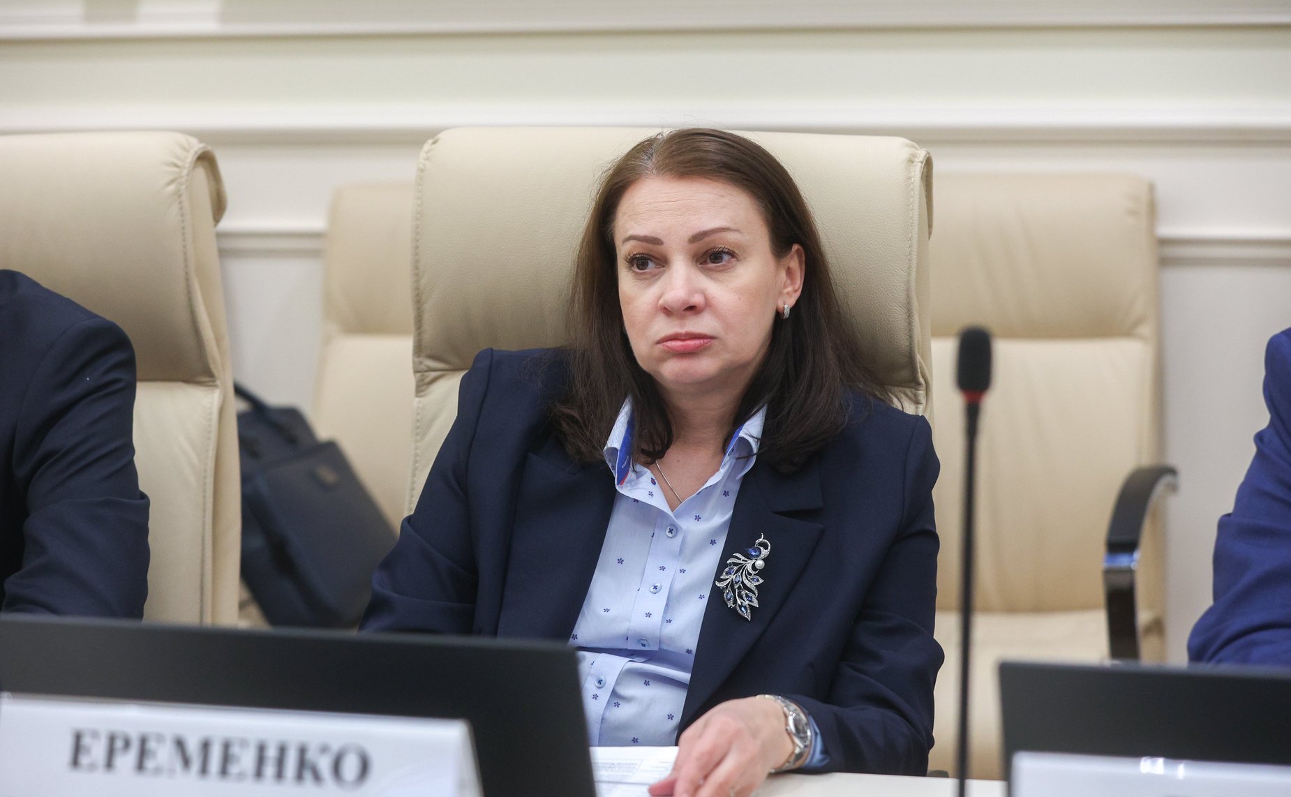 Совещание Комитета СФ по экономической политике «Развитие инфраструктуры поддержки субъектов малого и среднего предпринимательства в воссоединенных субъектах Российской Федерации»