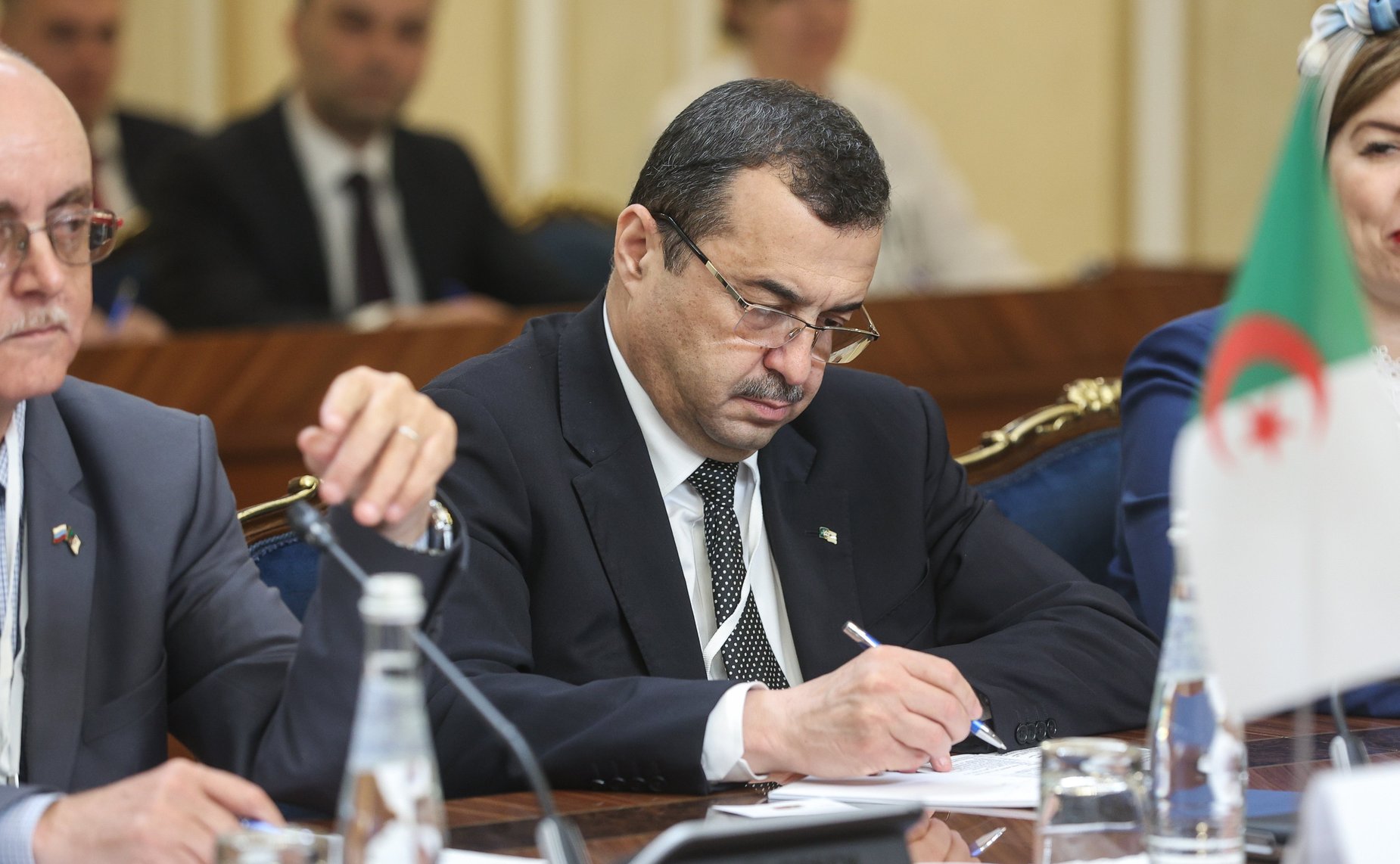 Валентина Матвиенко встретилась с Президентом Алжирской Народной Демократической Республики Абдельмаджидом Теббуном