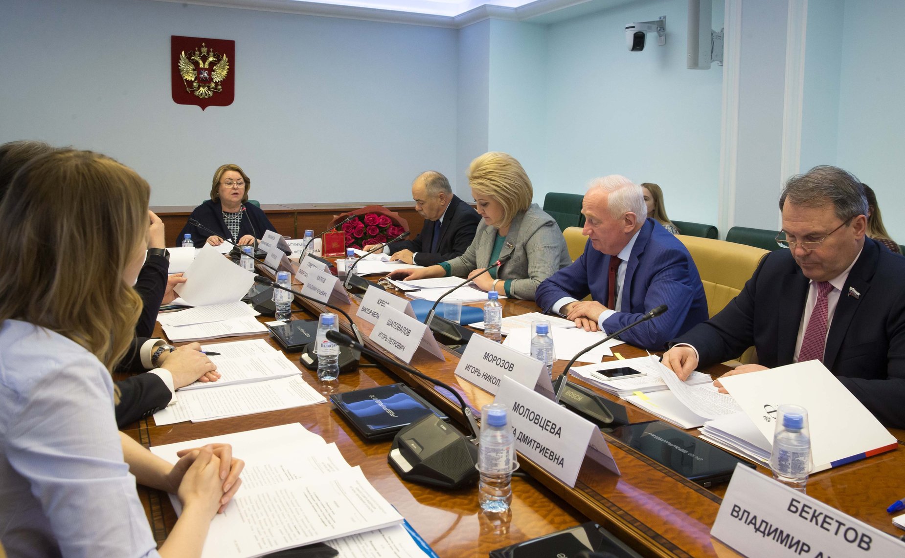 Заседание Комитета СФ по науке, образованию и культуре