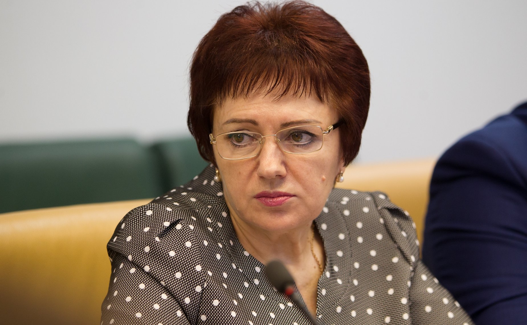 Е. Бибикова