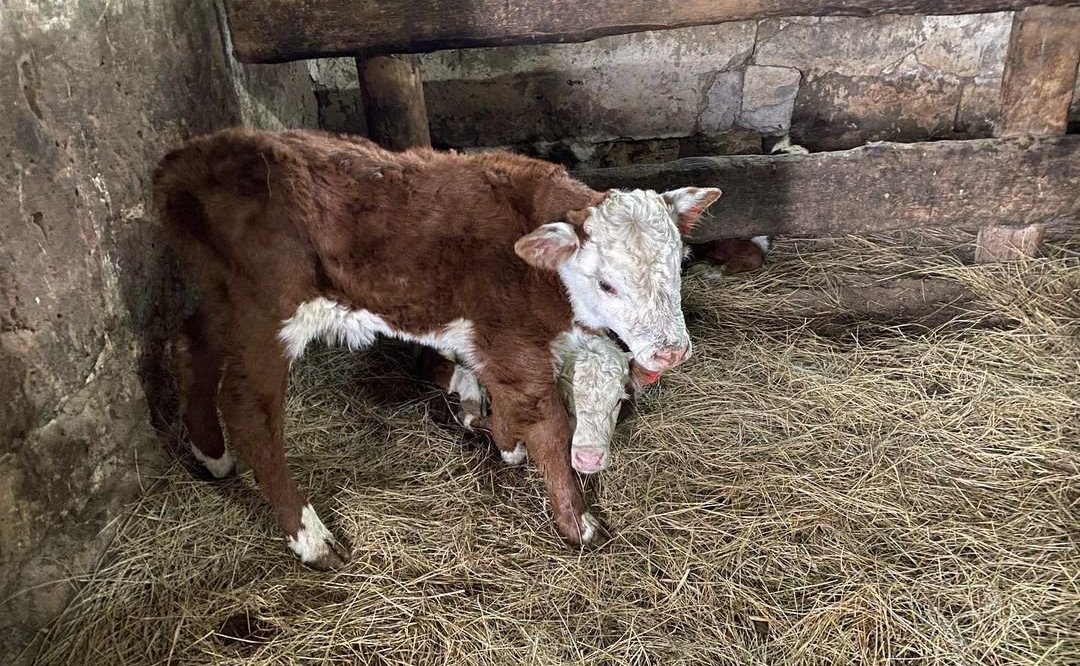 Олег Алексеев в ходе работы в регионе посетил два крестьянско-фермерских хозяйства Александрово-Гайского района