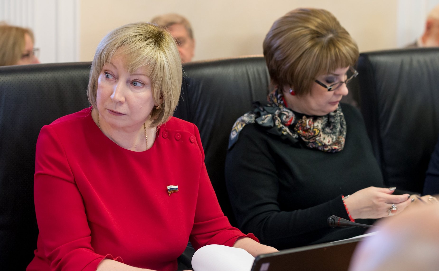 Заседание Комитета СФ по науке, образованию и культуре