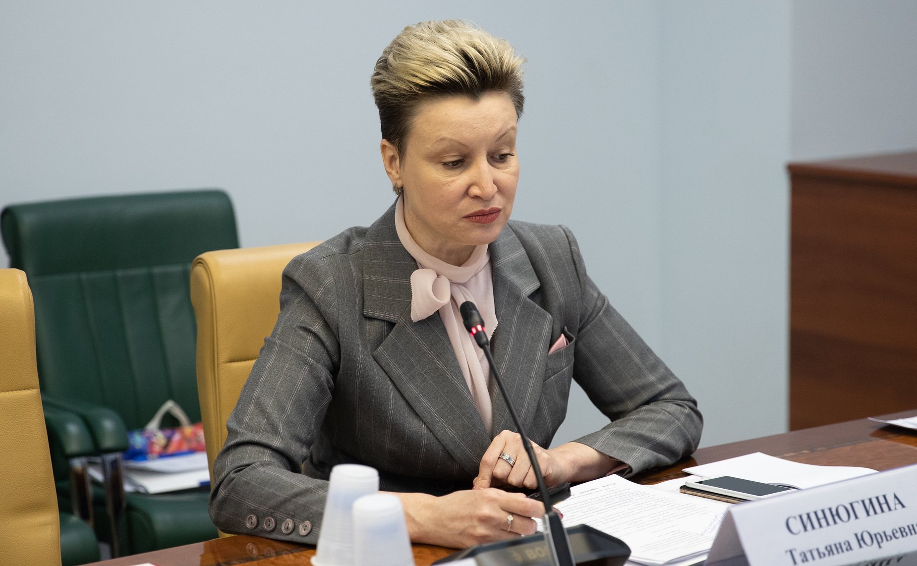 «Круглый стол» Комитета СФ по науке, образованию и культуре