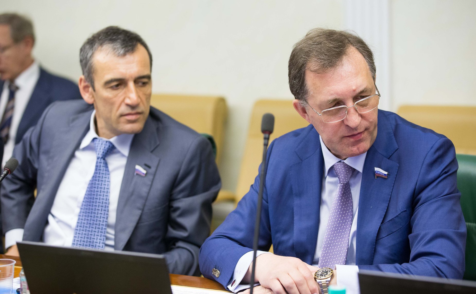 Заседание Комитета СФ по экономической политике Петелин