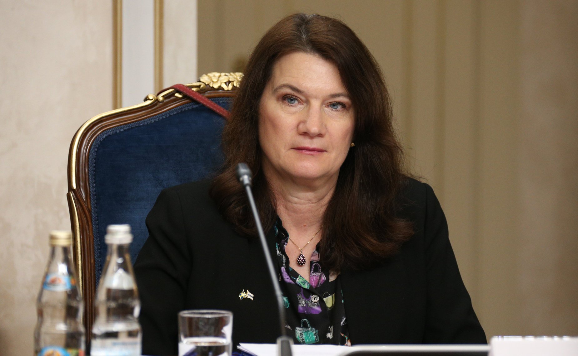 Встреча Константина Косачева с Министром иностранных дел Швеции, Действующим председателем ОБСЕ Анн Линде