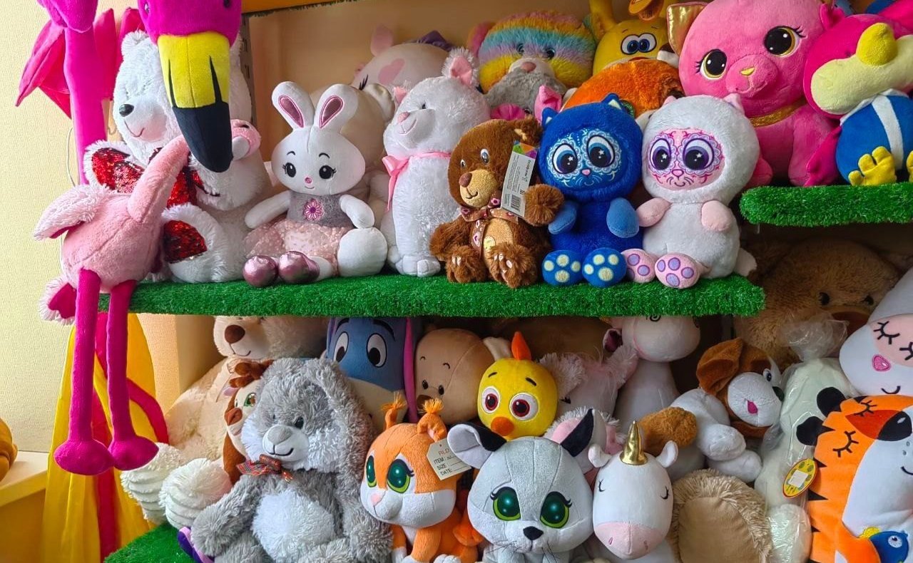 Артем Малащенков совместно с активистами «Движения Первых» из Смоленской области побывал на крупном предприятии, которое изготавливает игрушки