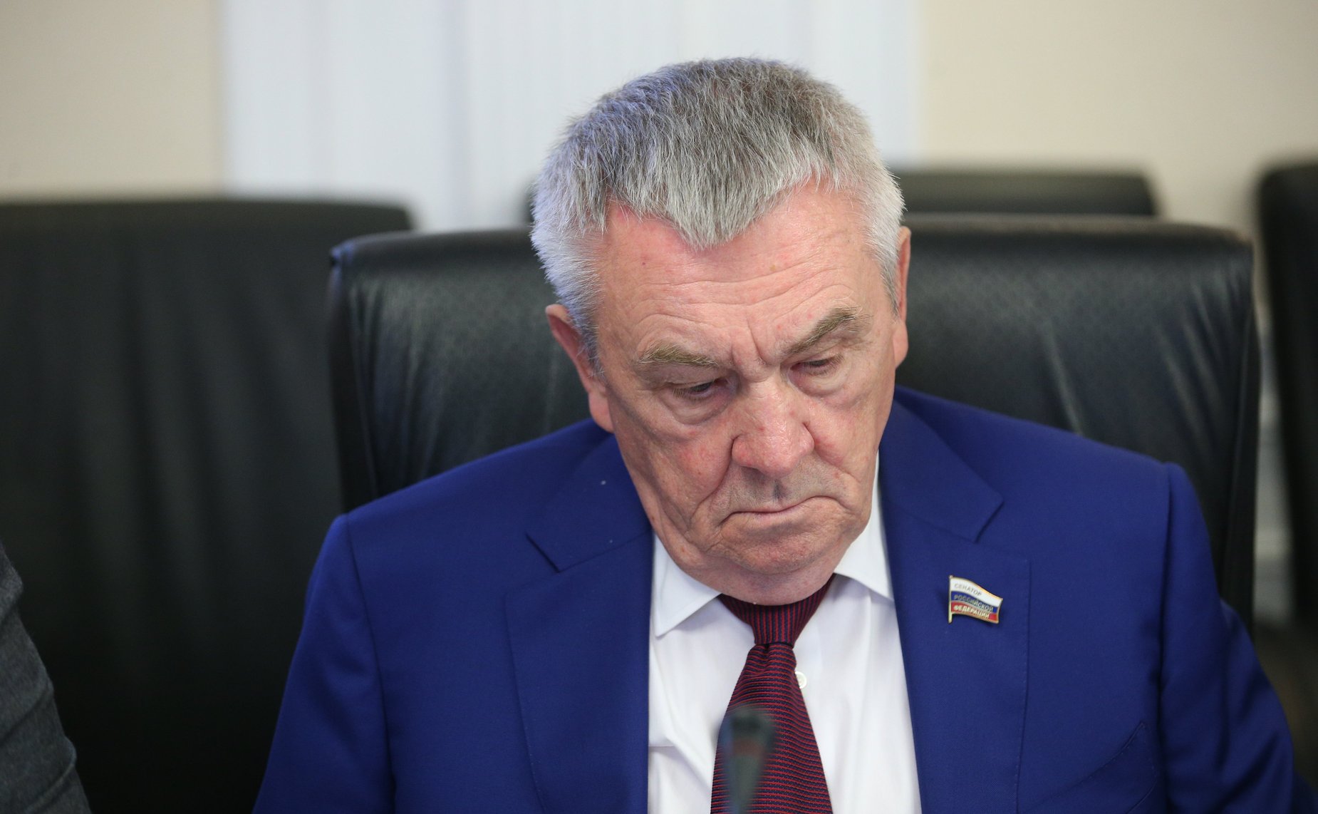 Заседание Комитета СФ по науке, образованию и культуре