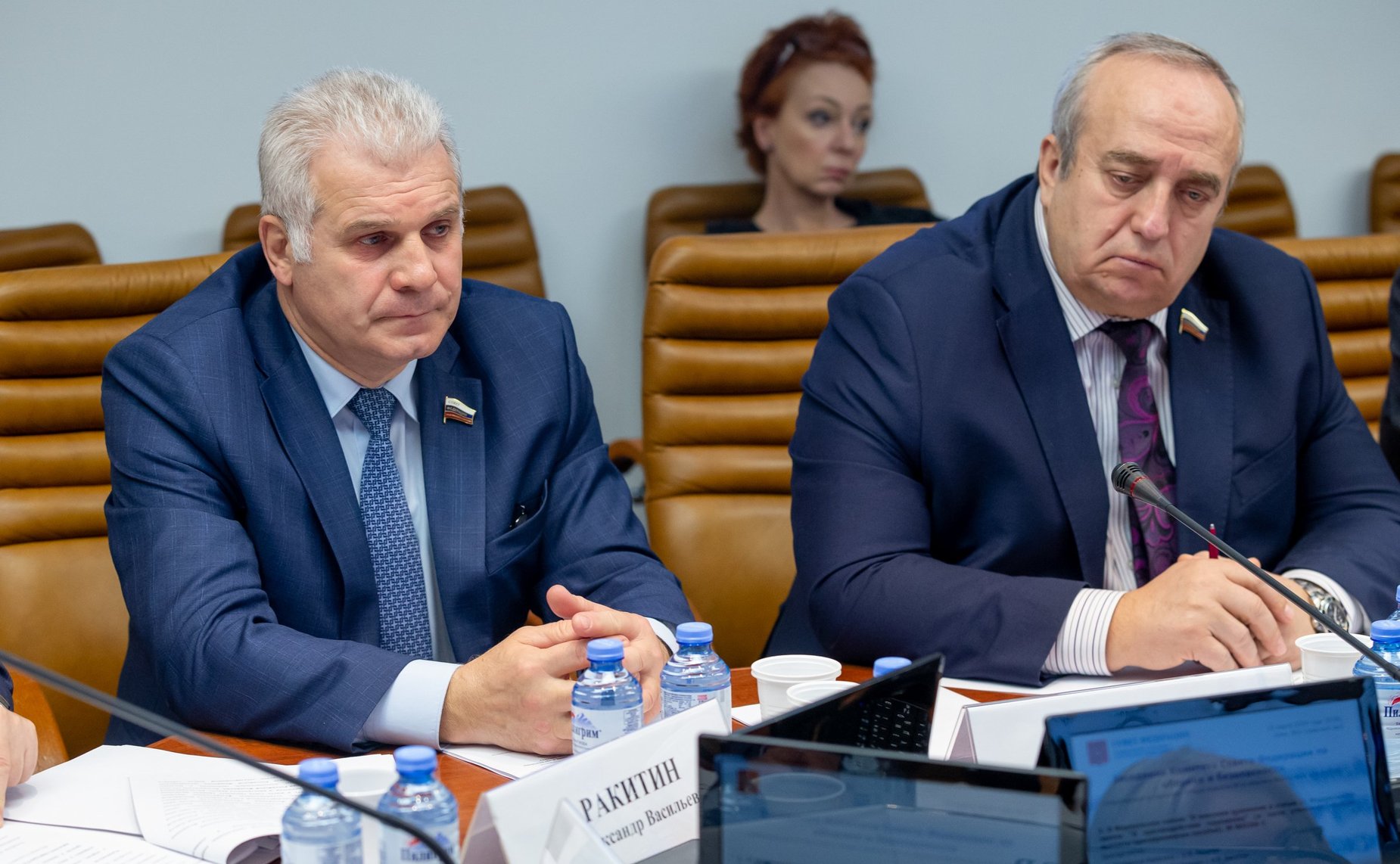 Сергей Мартынов и Франц Клинцевич