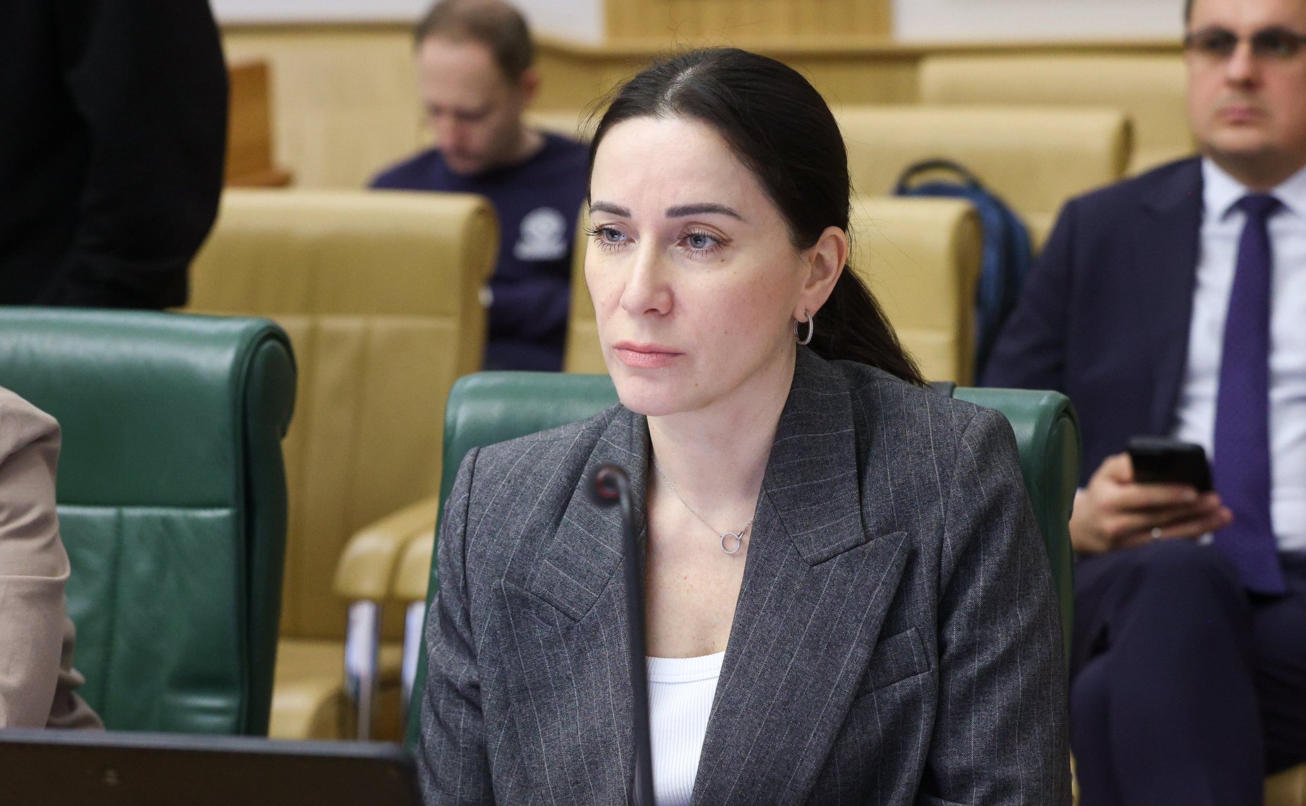 Расширенное заседание Комитета СФ по бюджету и финансовым рынкам «Об эффективности использования средств федерального бюджета на реализацию государственной программы Российской Федерации «Развитие культуры»