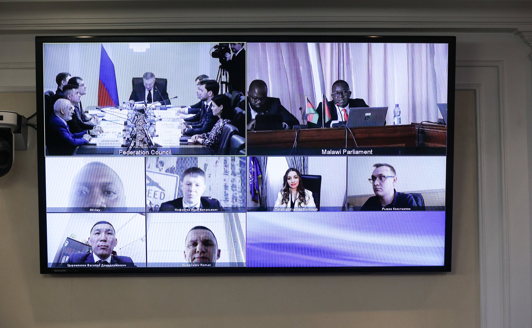 Встреча первого заместителя председателя Комитета СФ по социальной политике Александра Варфоломеева и членов Палаты молодых законодателей при СФ с молодыми парламентариями Республики Малави