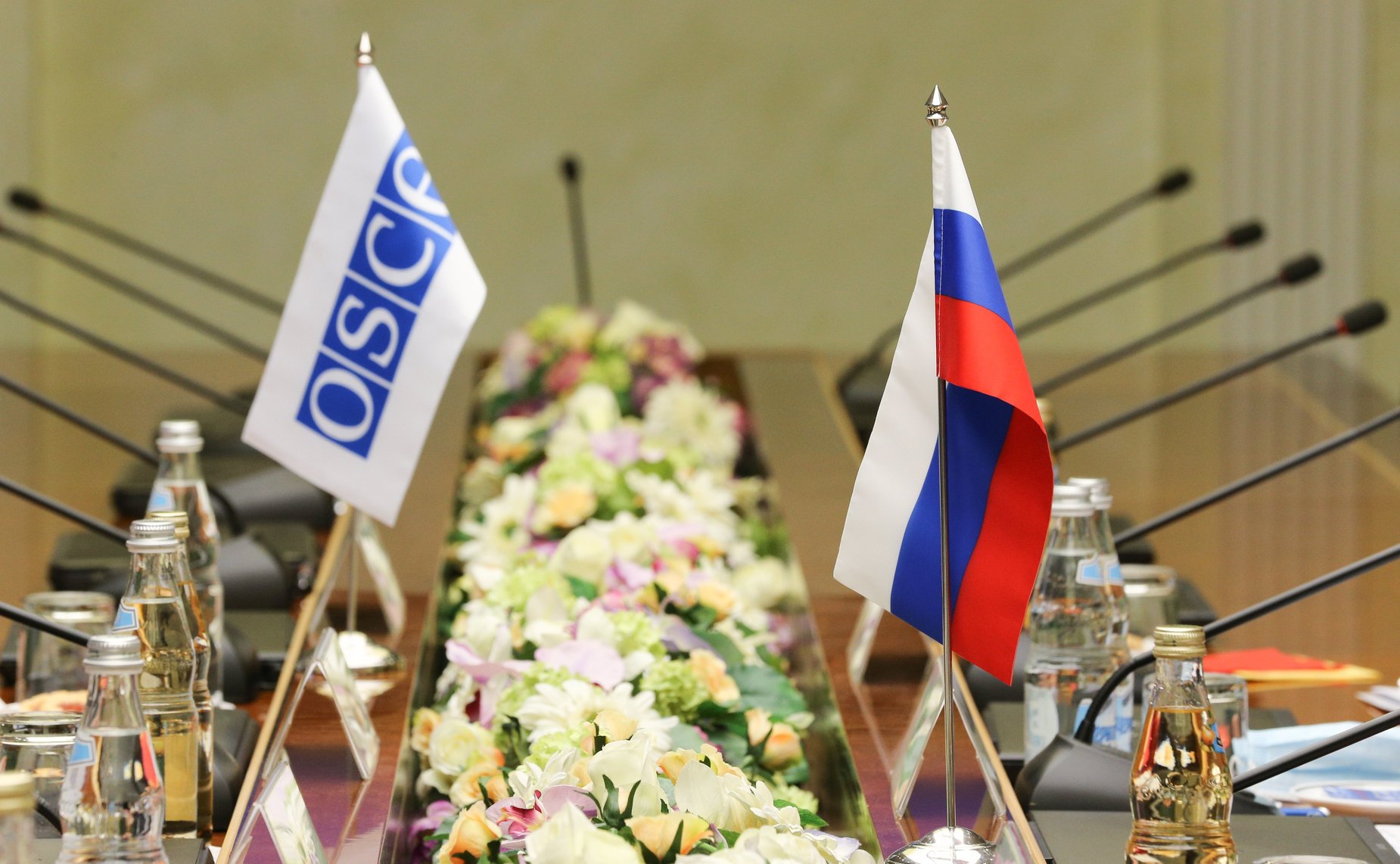 Встреча председателя Комитета СФ по международным делам Григория Карасина со специальным представителем Действующего председателя ОБСЕ по Южному Кавказу