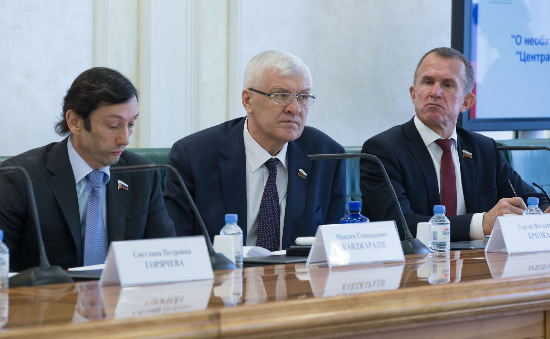 Максим Кавджарадзе, Сергей Брилка, Владимир Кравченко