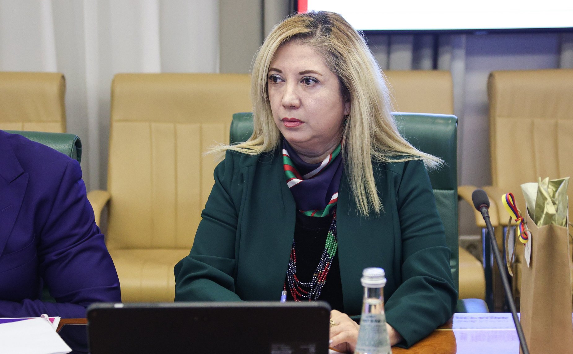 Встреча руководителя группы по сотрудничеству Совета Федерации с Национальной Ассамблеей Республики Эквадор Дины Оюн с Чрезвычайным и Полномочным Послом Республики Эквадор в РФ