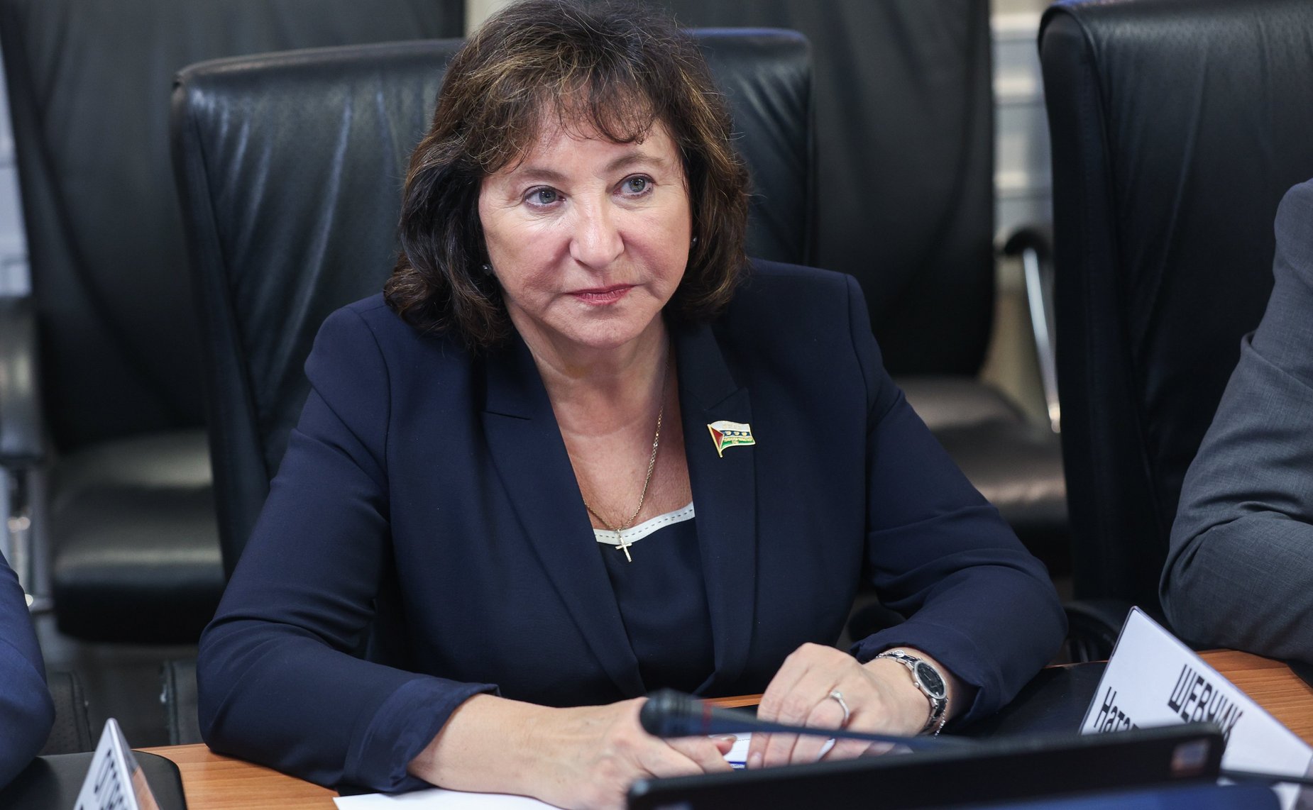 Расширенное заседание Комитета СФ по федеративному устройству, региональной политике, МСУ и делам Севера (в рамках Дней Тюменской области)