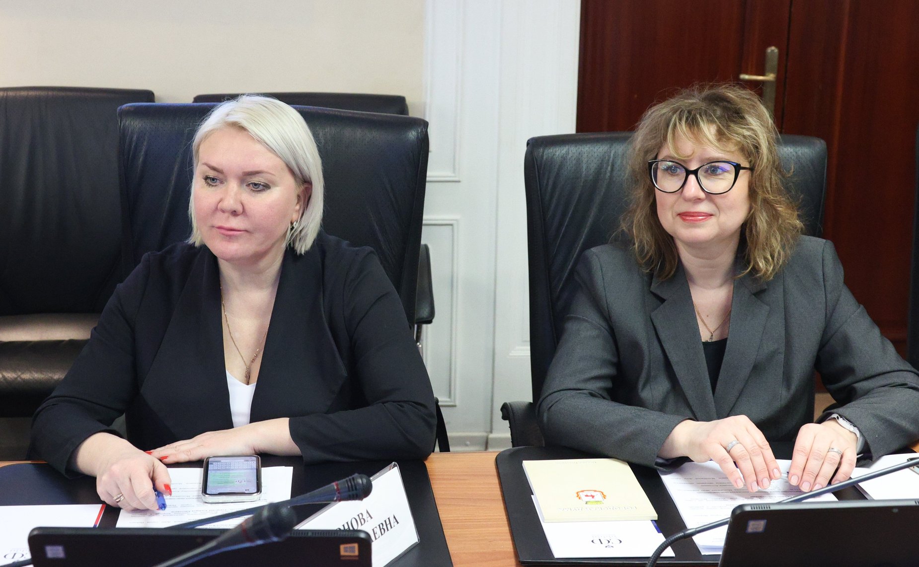 Встреча с членами Ассоциации молодежных палат (парламентов) при представительных органах муниципальных образований, являющихся административными центрами субъектов РФ Приволжского федерального округа в СФ
