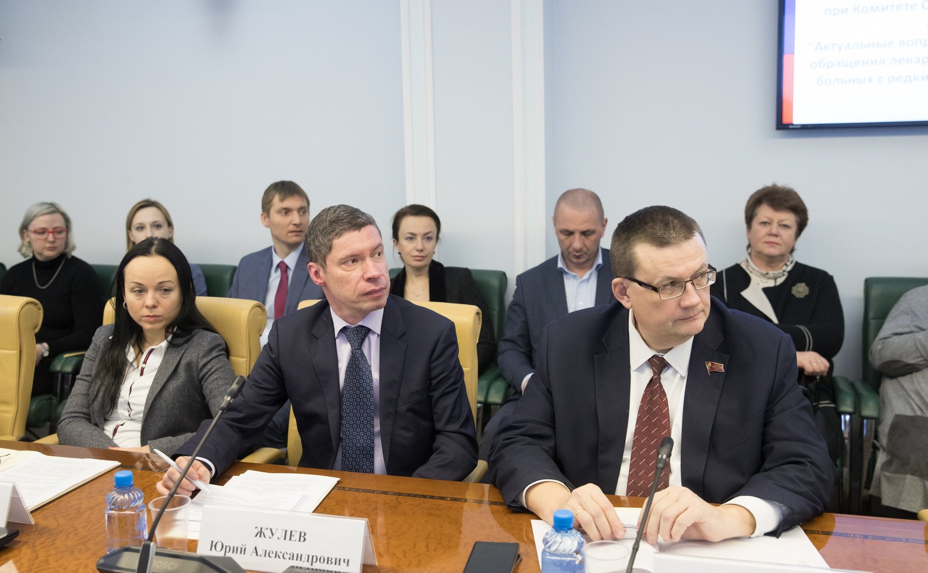 Заседание Экспертного совета по здравоохранению при Комитете СФ по социальной политике