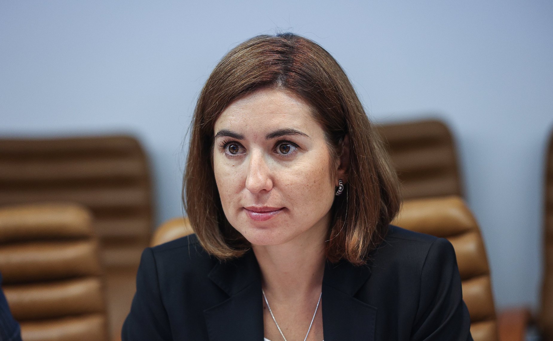 Заседание секции «Распространение российских цифровых продуктов и платформ» Совета по развитию цифровой экономики при СФ