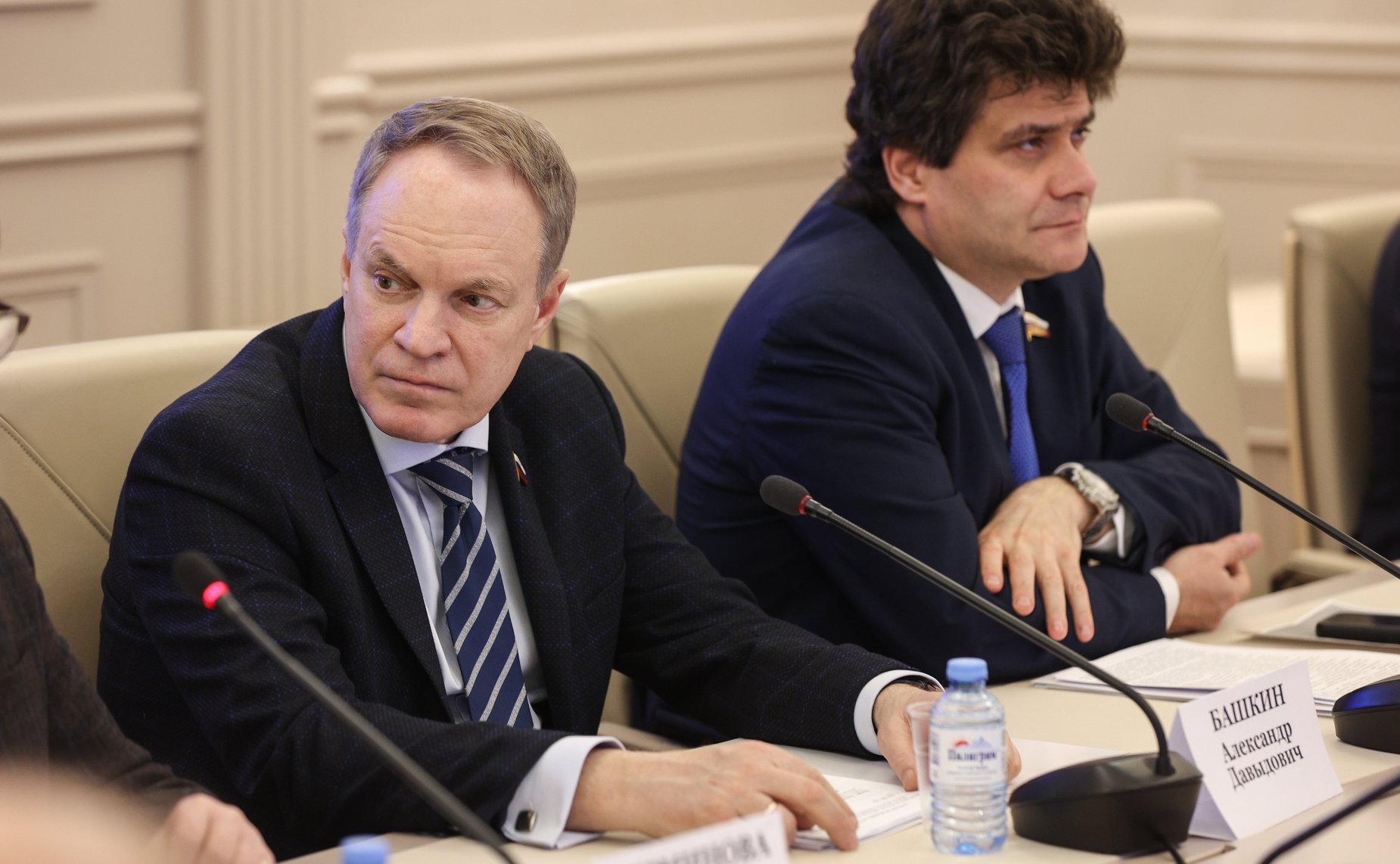 Заседание рабочей группы Комитета СФ по бюджету и финансовым рынкам по подготовке предложений по обеспечению сбалансированности бюджетов субъектов РФ с учетом их особенностей