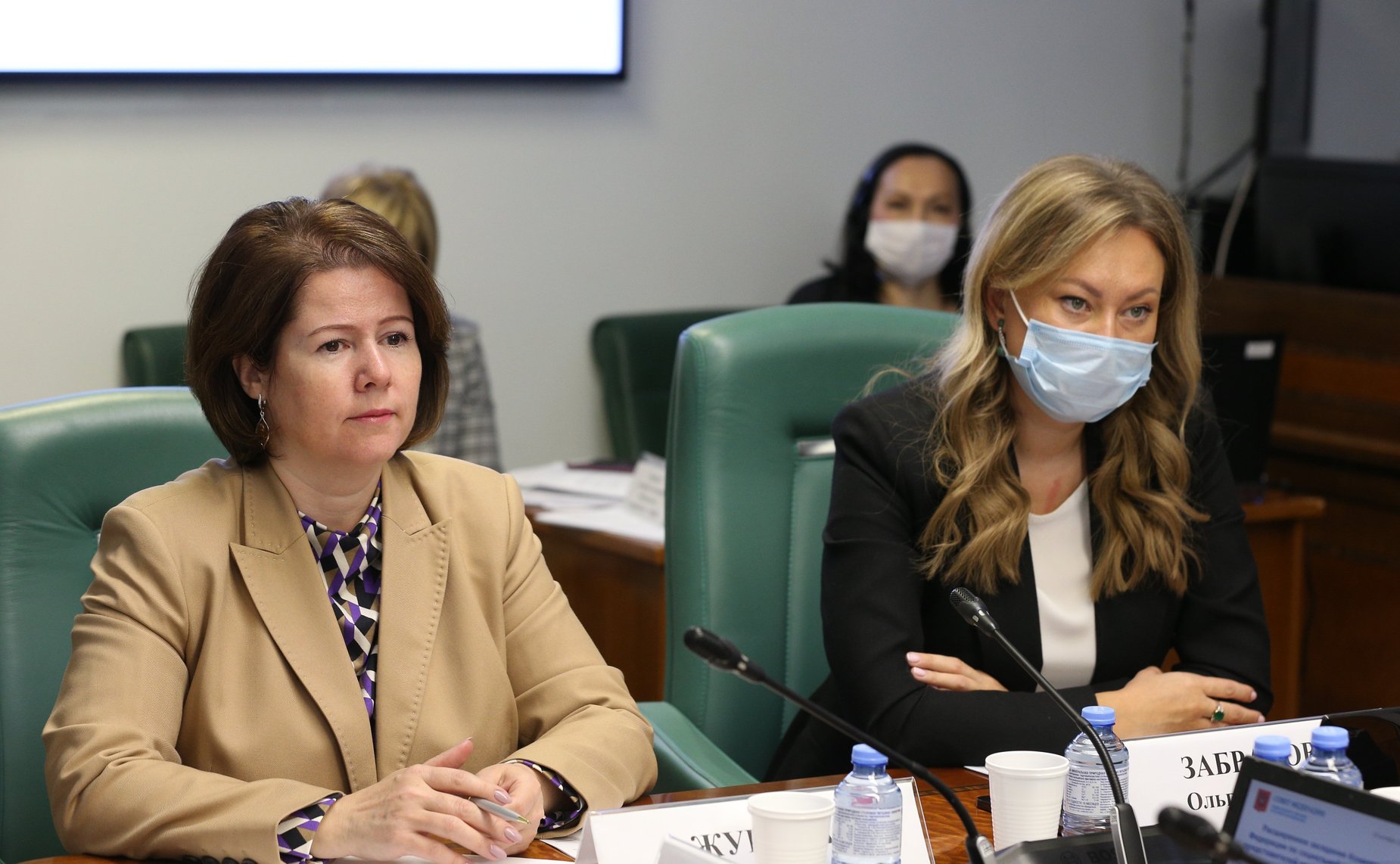 Заседание Комитета СФ по социальной политике