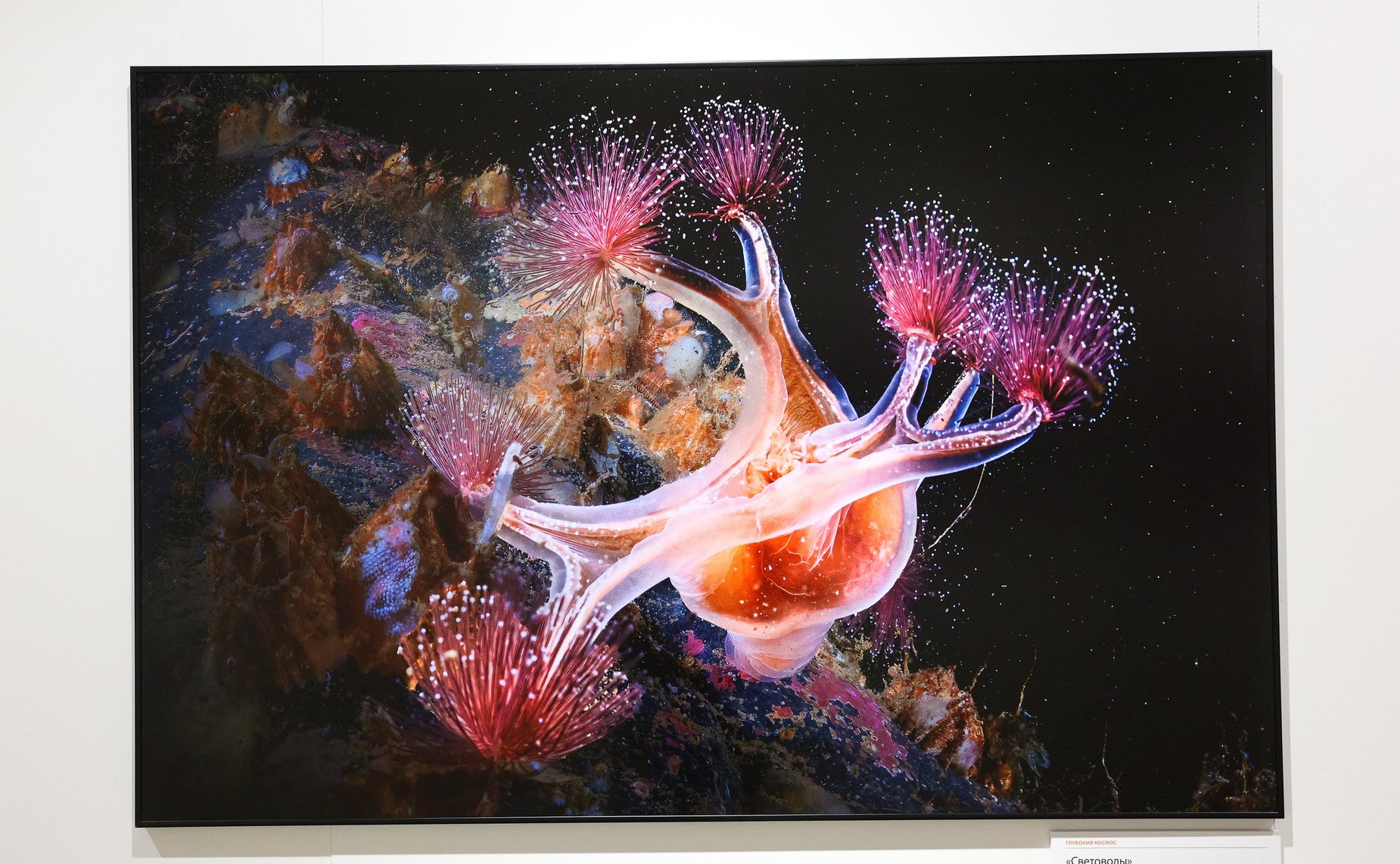 Валентина Матвиенко приняла участие в открытии XIII Общероссийского фестиваля природы «Первозданная Россия», который проходит под эгидой верхней палаты парламента