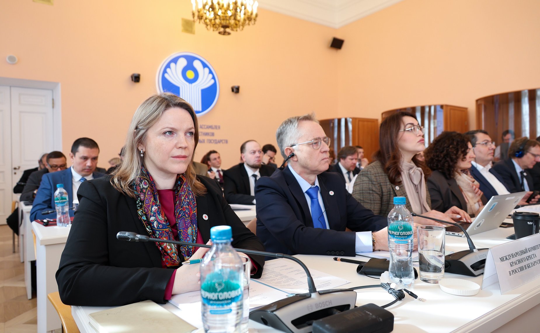 Сенаторы РФ приняли участие в заседании рабочей группы МПА СНГ по подготовке новой редакции Концепции общего миграционного пространства государств — участников СНГ