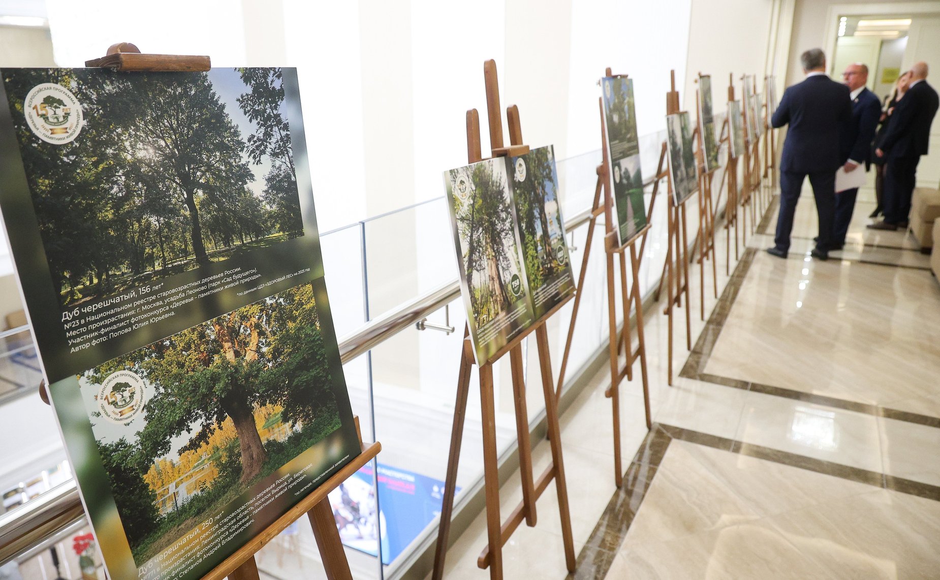 Совещание Комитета Совета Федерации по аграрно-продовольственной политике и природопользованию «О реализации Всероссийской программы «Деревья – памятники живой Природы»»