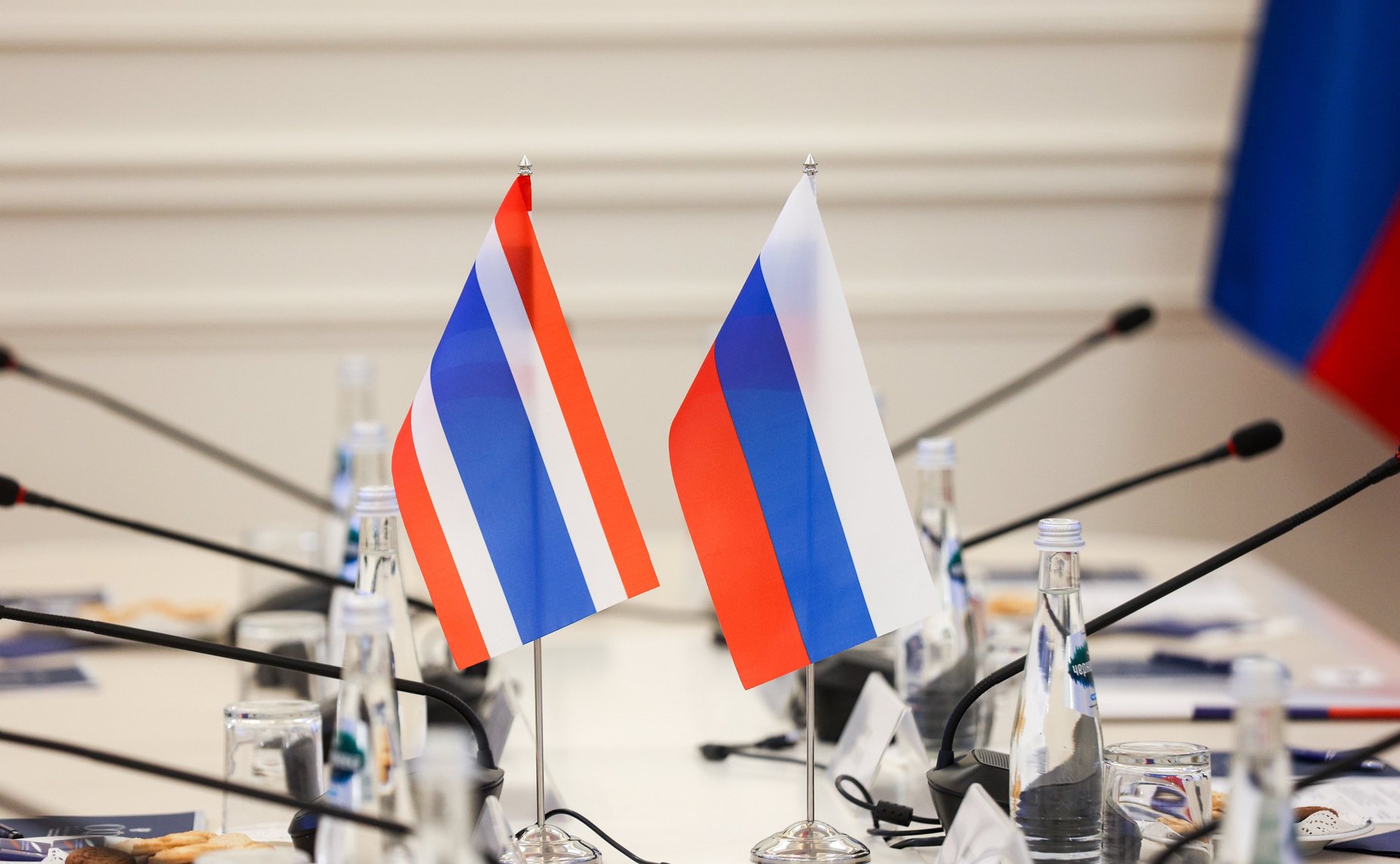 Встреча первого заместителя Председателя СФ Андрея Яцкина с руководителем группы дружбы Таиланд-Россия в Парламенте Королевства Таиланд Пратхум Вонгсаватди