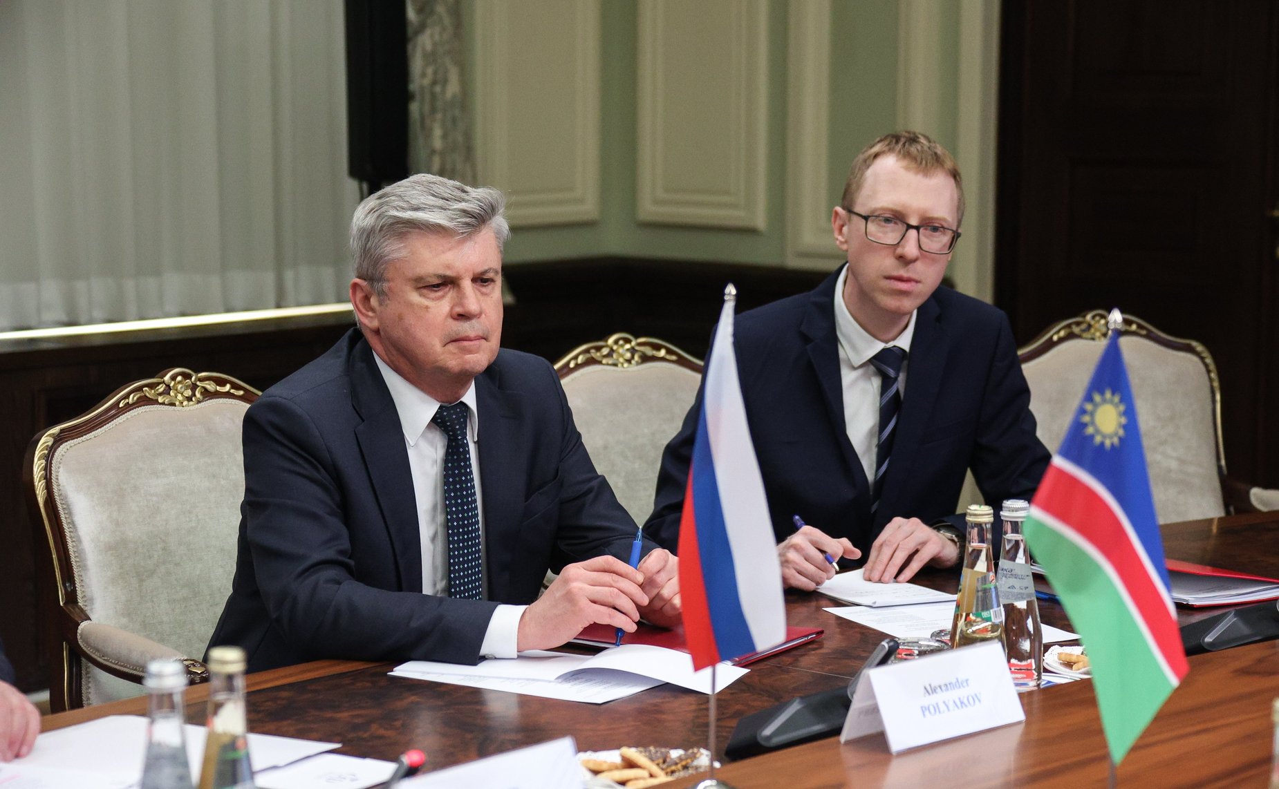 Встреча председателя Комитета СФ по международным делам Григория Карасина с Чрезвычайным и Полномочным Послом Республики Намибии в РФ