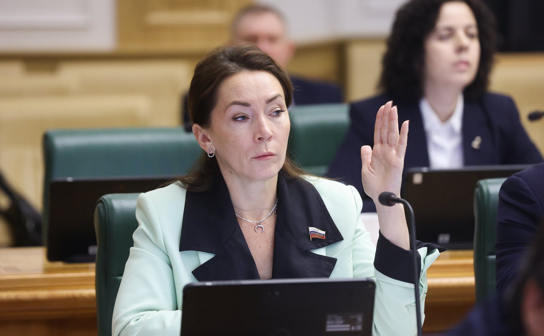 Заседание Комитета СФ по федеративному устройству, региональной политике, местному самоуправлению и делам Севера